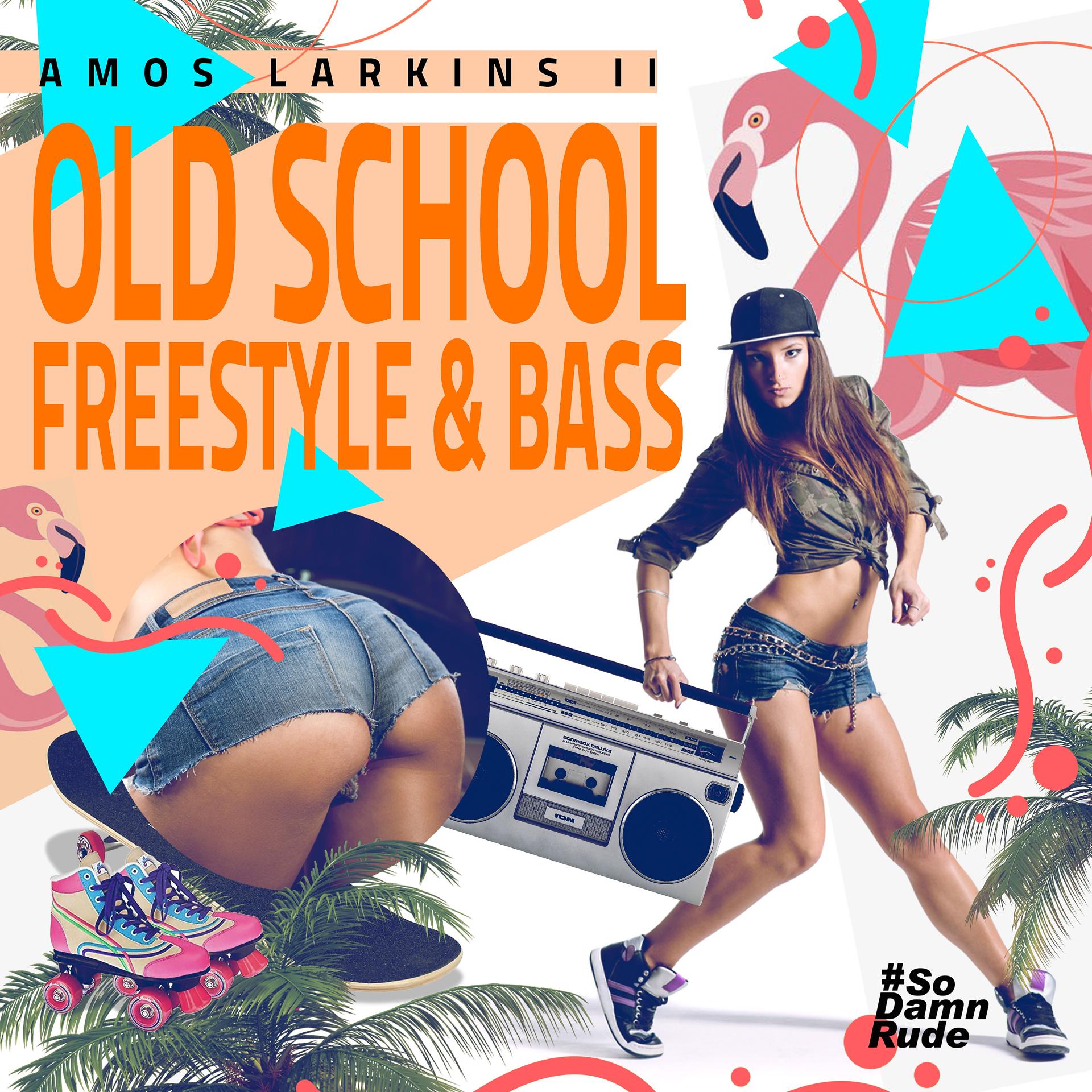 Постер альбома Old School Freestyle & Bass