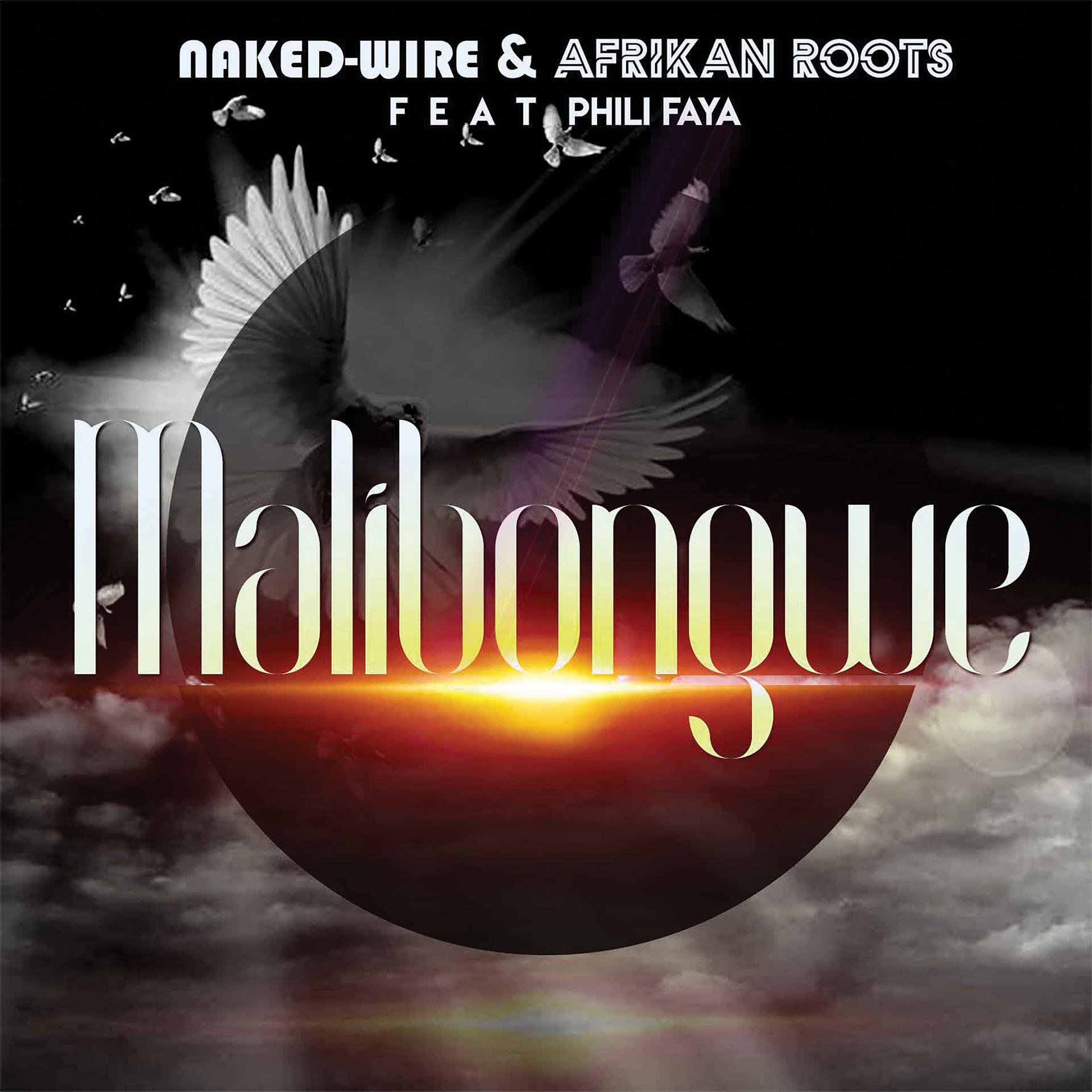 Постер альбома Malibongwe