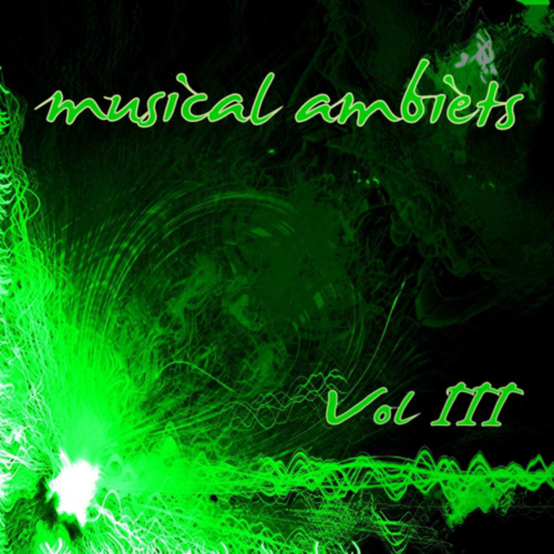 Постер альбома Musical Ambients, Vol. 3