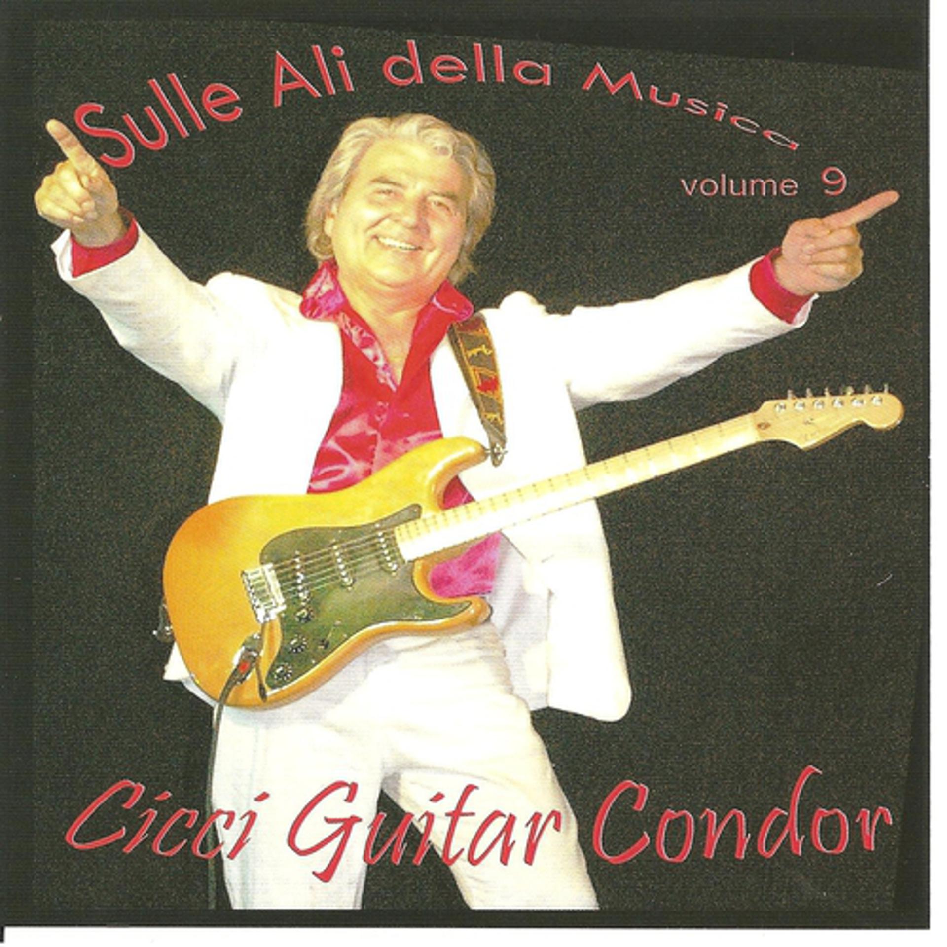 Постер альбома Sulle Ali Della Musica, Vol. 9