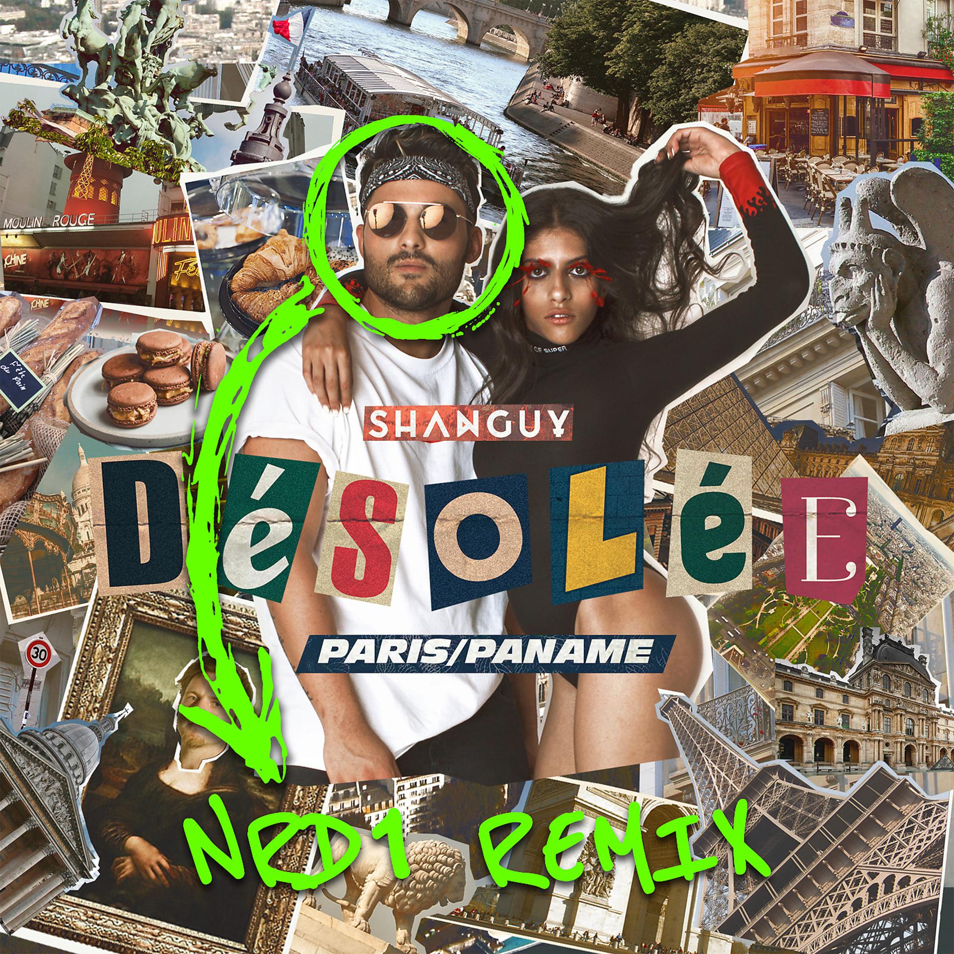 Постер альбома Desolee (Paris/Paname) [NRD1 Remix]