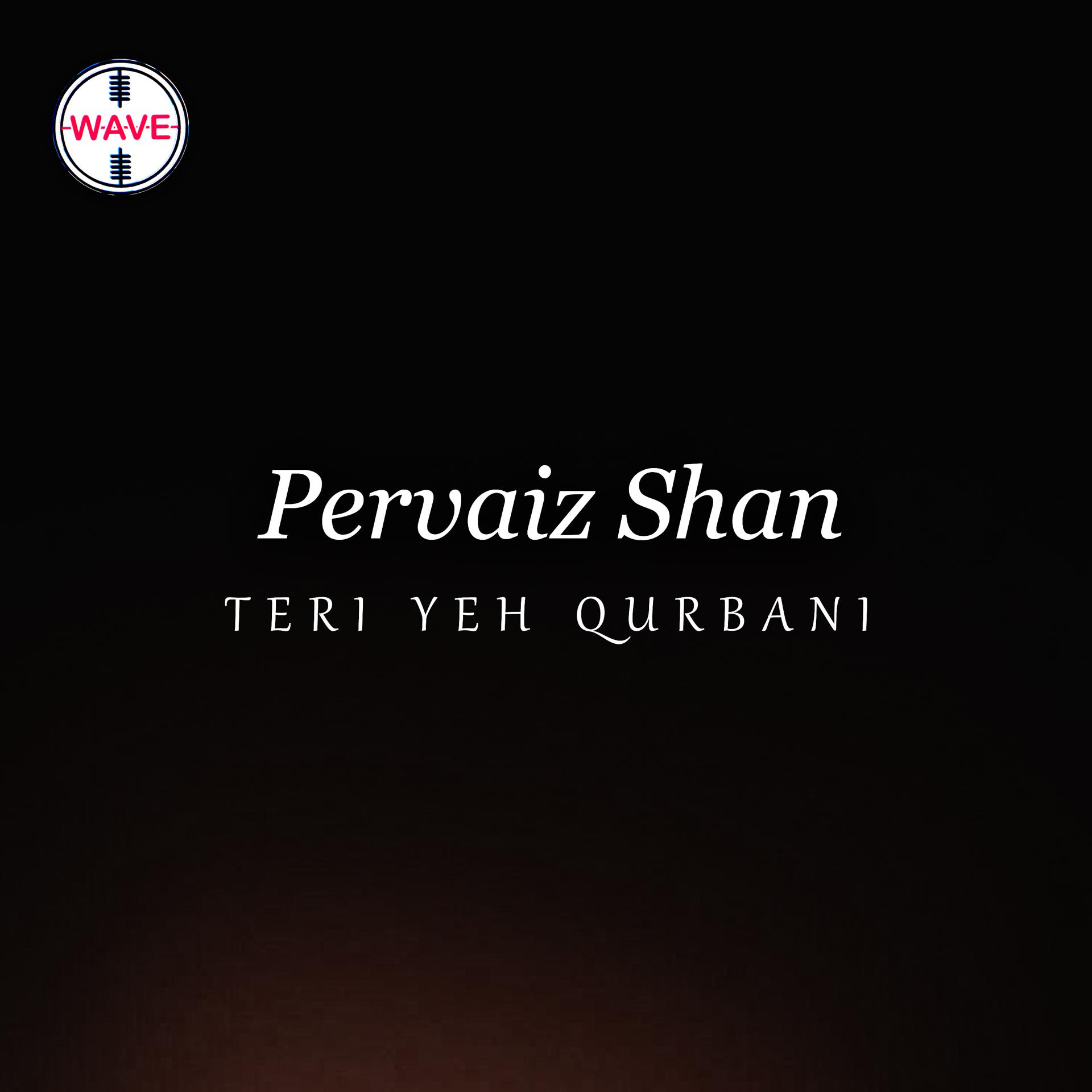Постер альбома Teri Yeh Qurbani