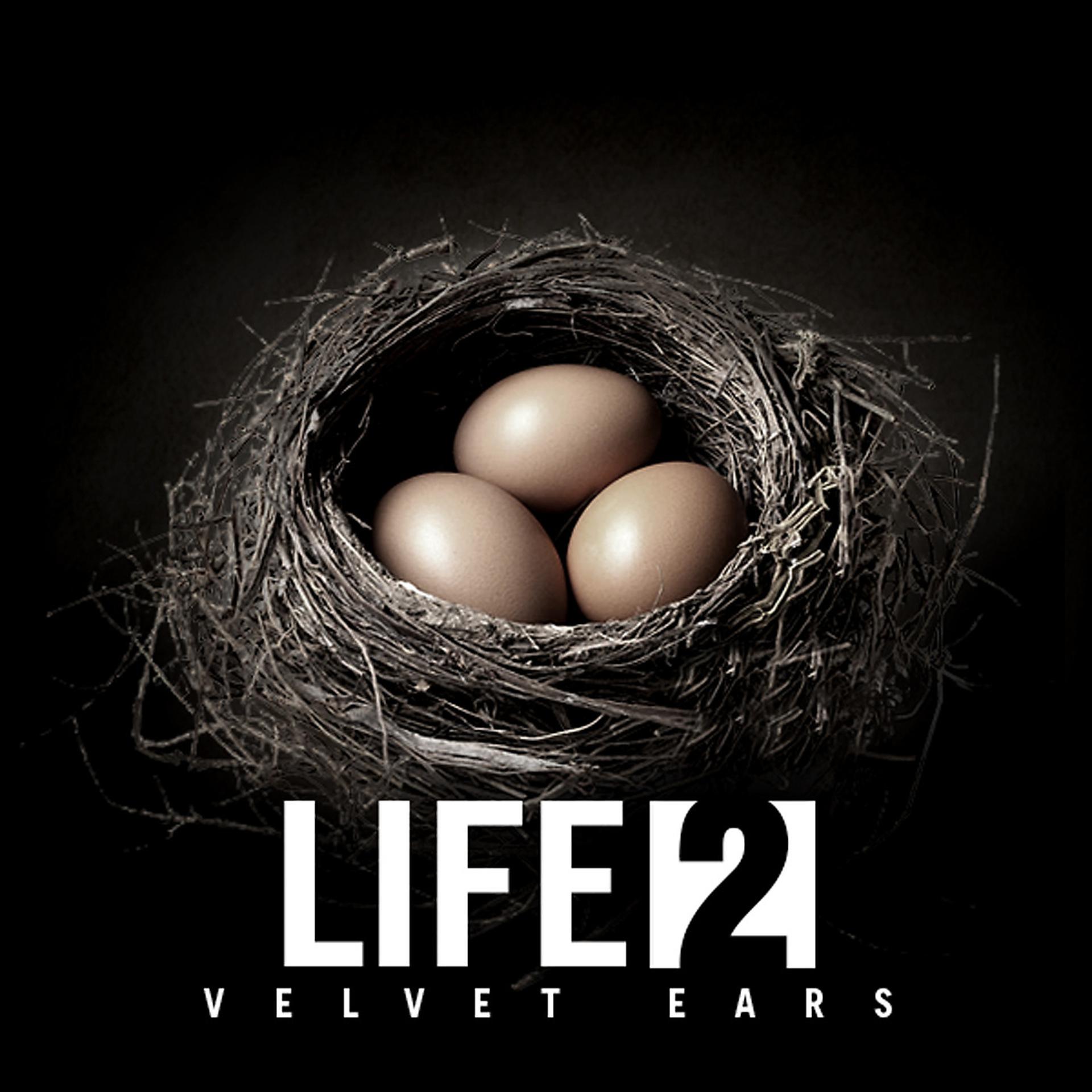 Постер альбома Velvet Ears: Life 2
