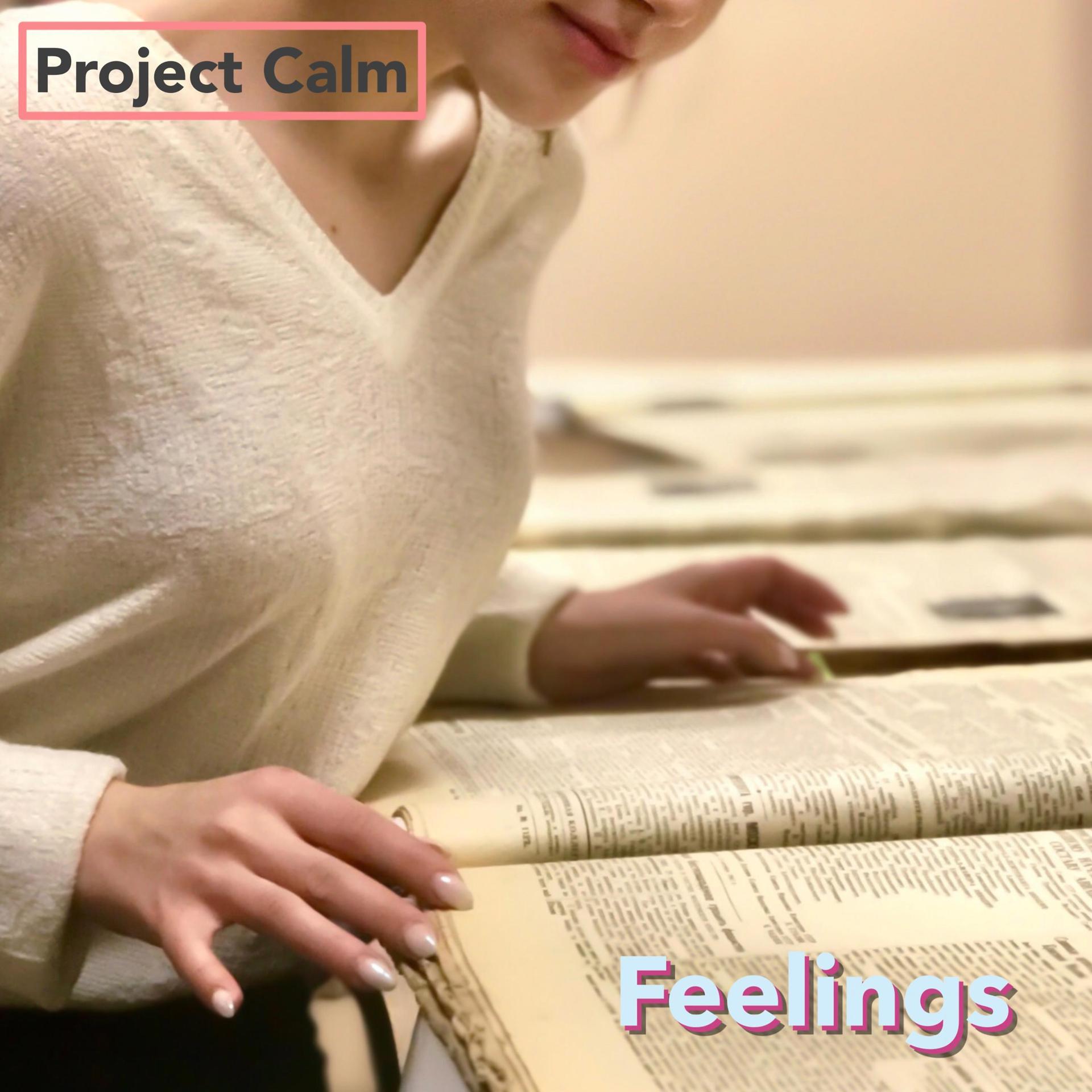 Постер к треку Project Calm - unKNOWn