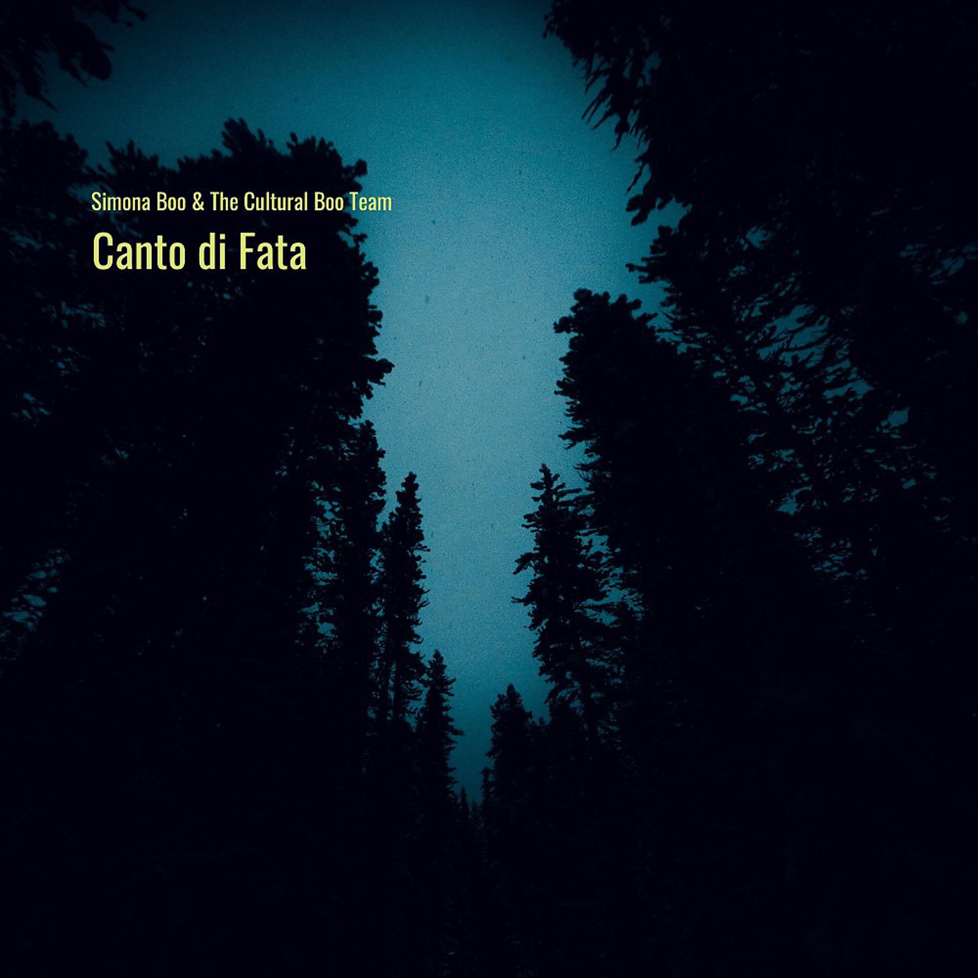 Постер альбома Canto di fata