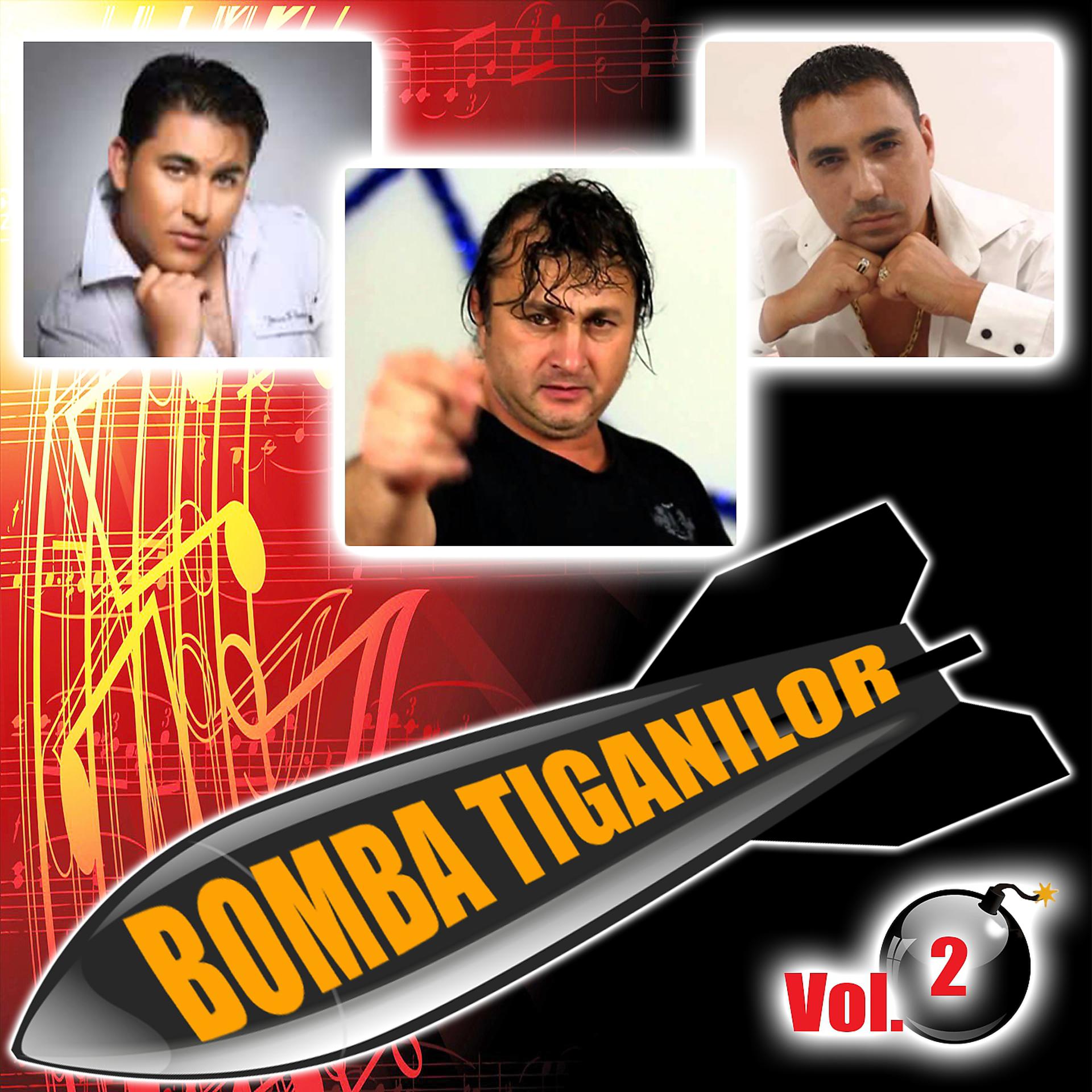 Постер альбома Bomba Tiganilor, Vol. 2