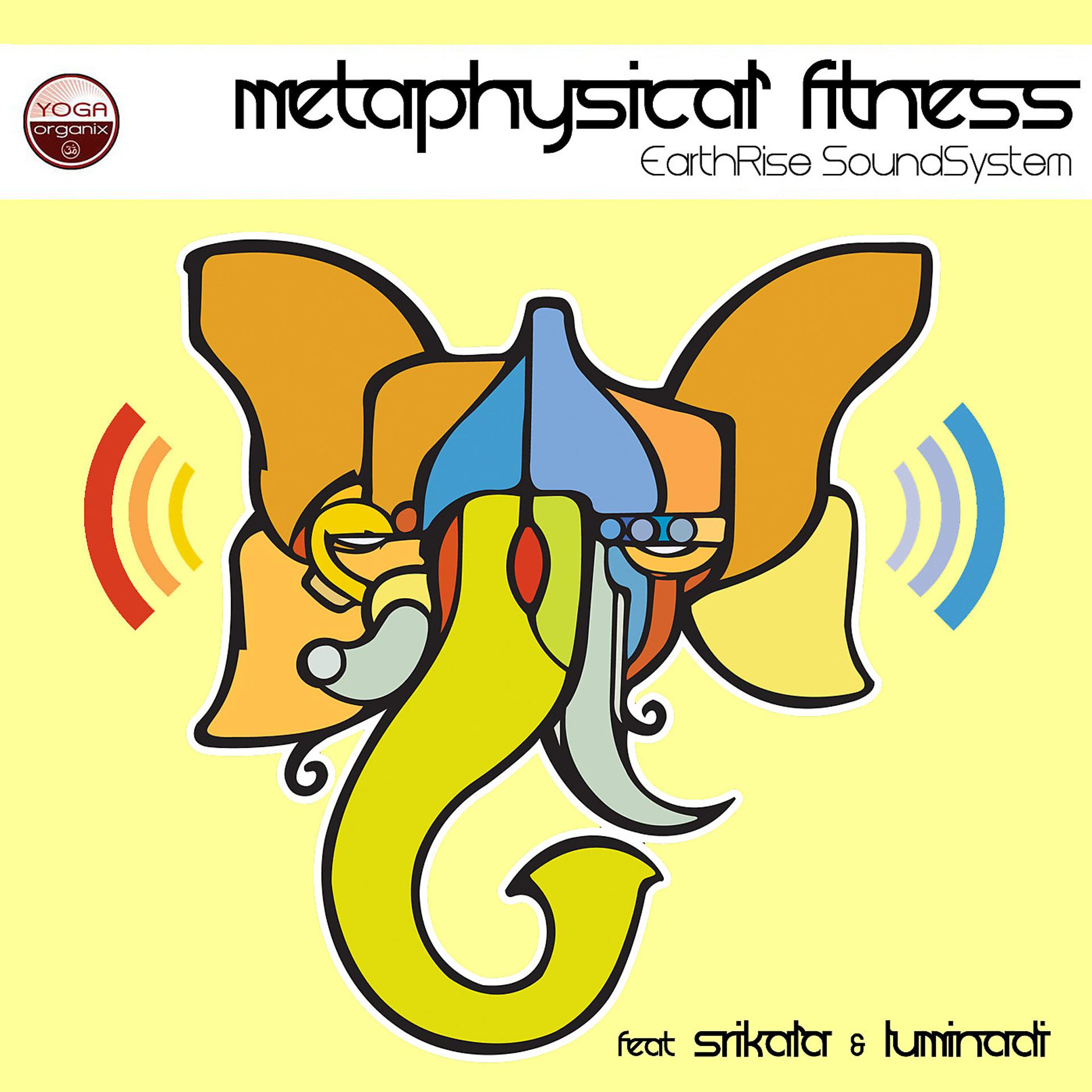 Постер альбома Metaphysical Fitness