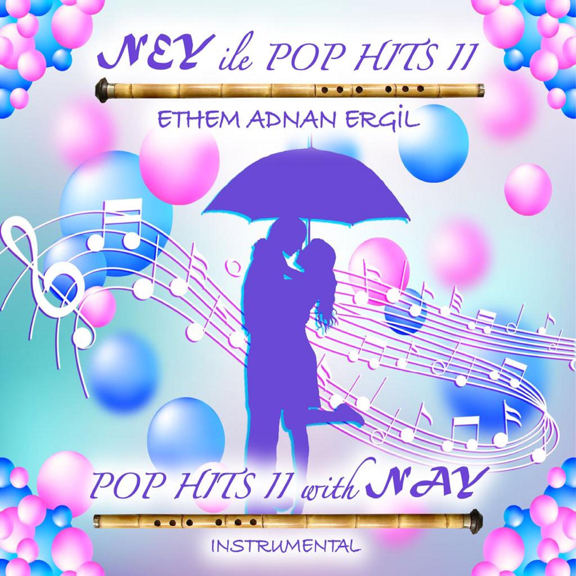 Постер альбома Ney ile Pop Hits II