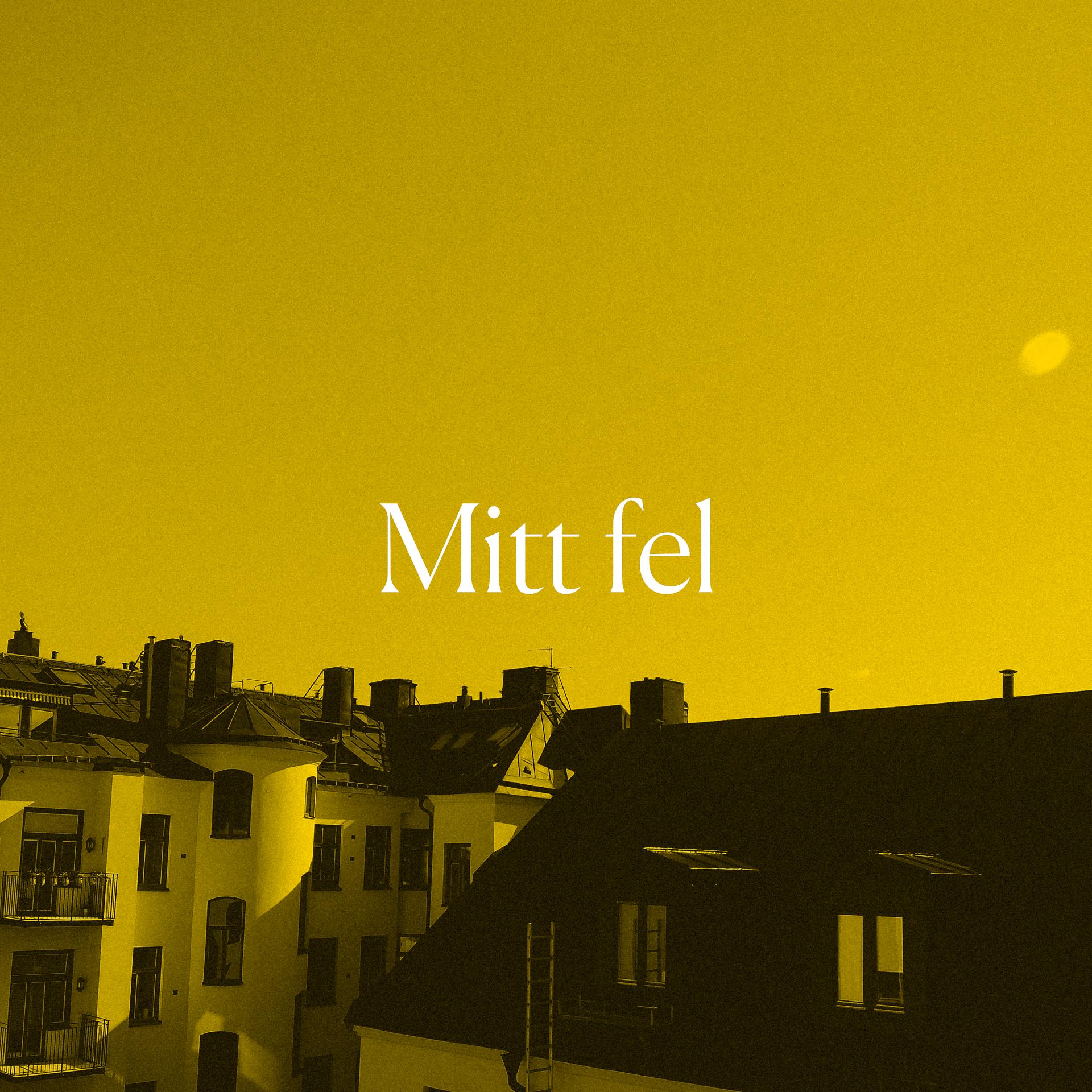 Постер альбома Mitt fel