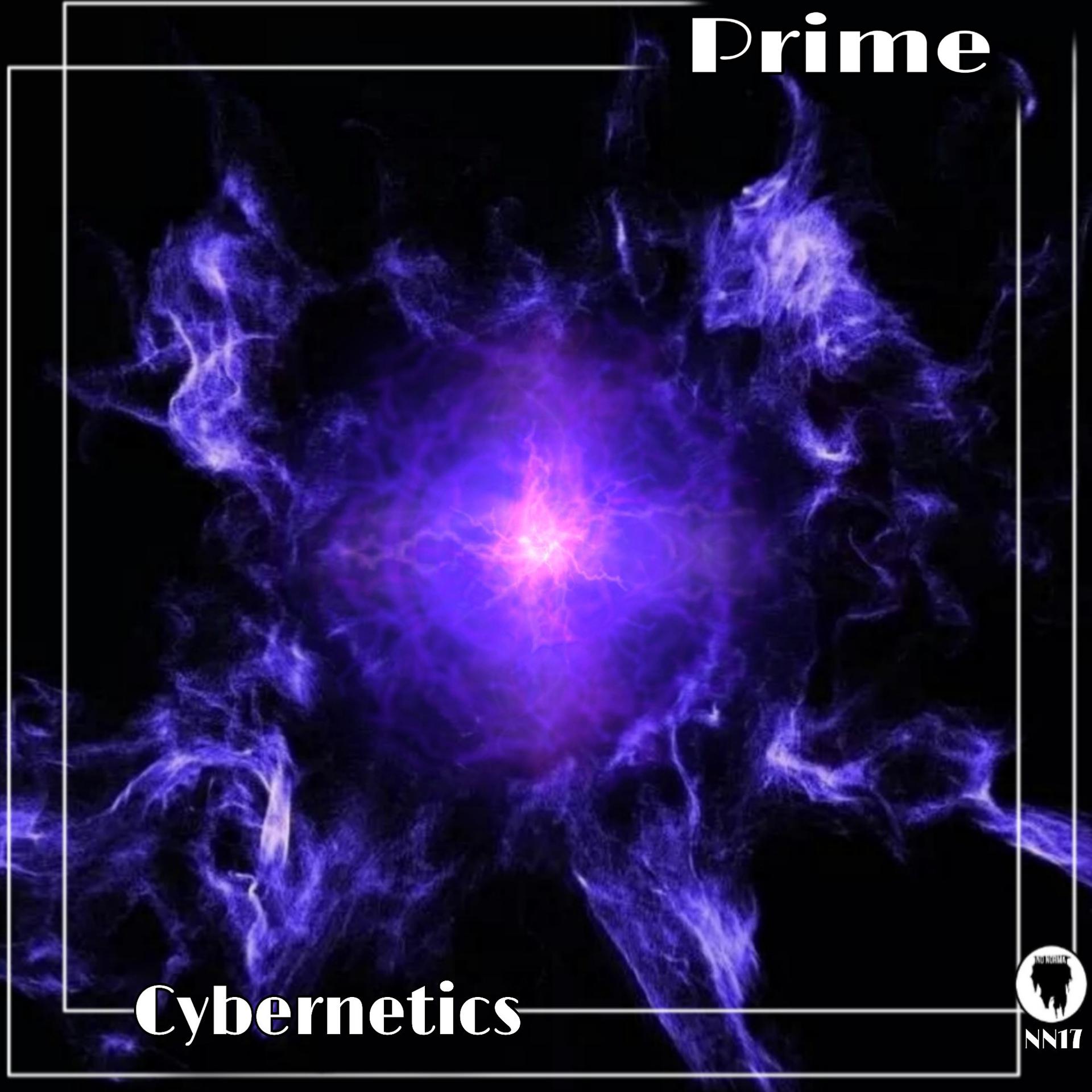 Постер альбома Cybernetics