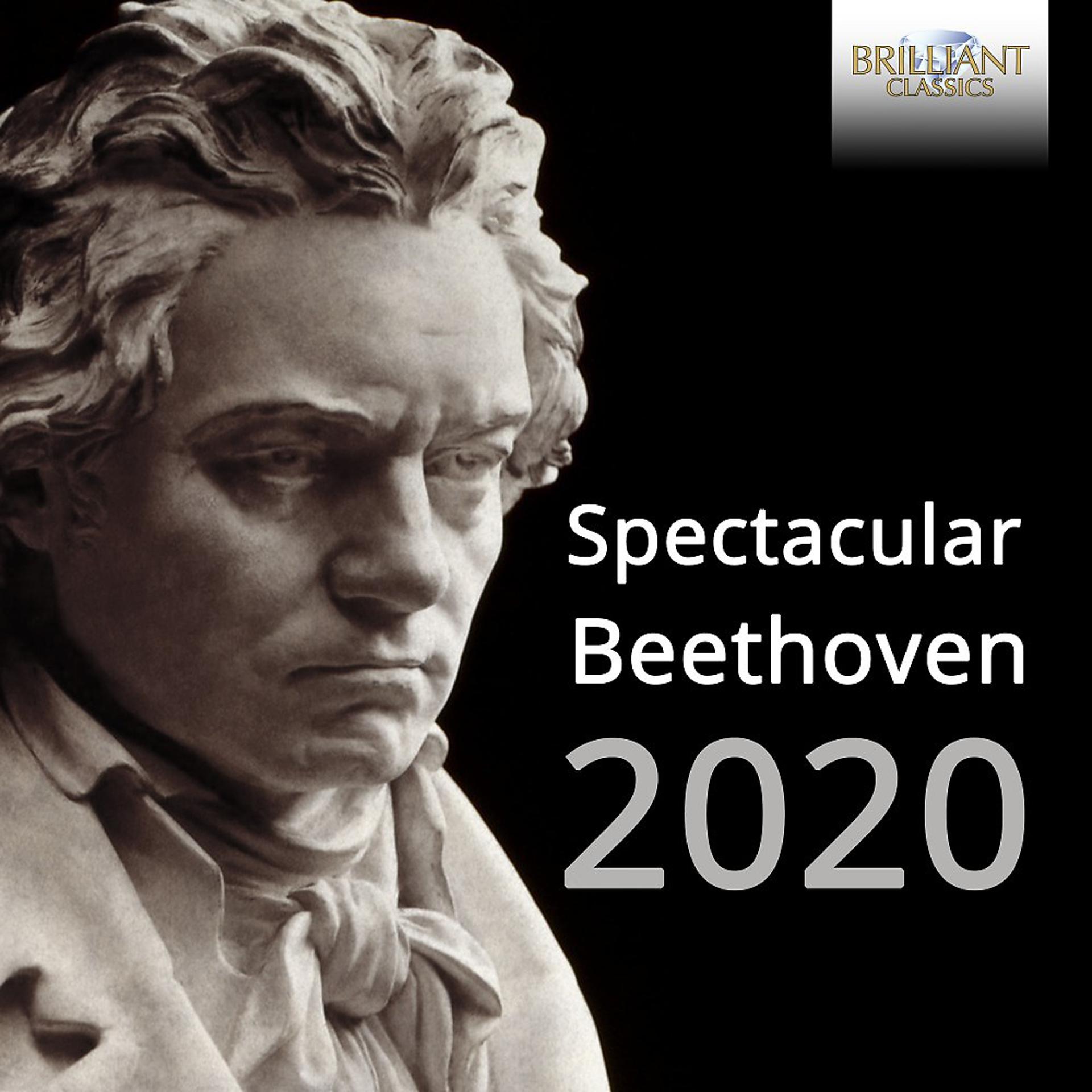 Постер альбома Spectacular Beethoven 2020