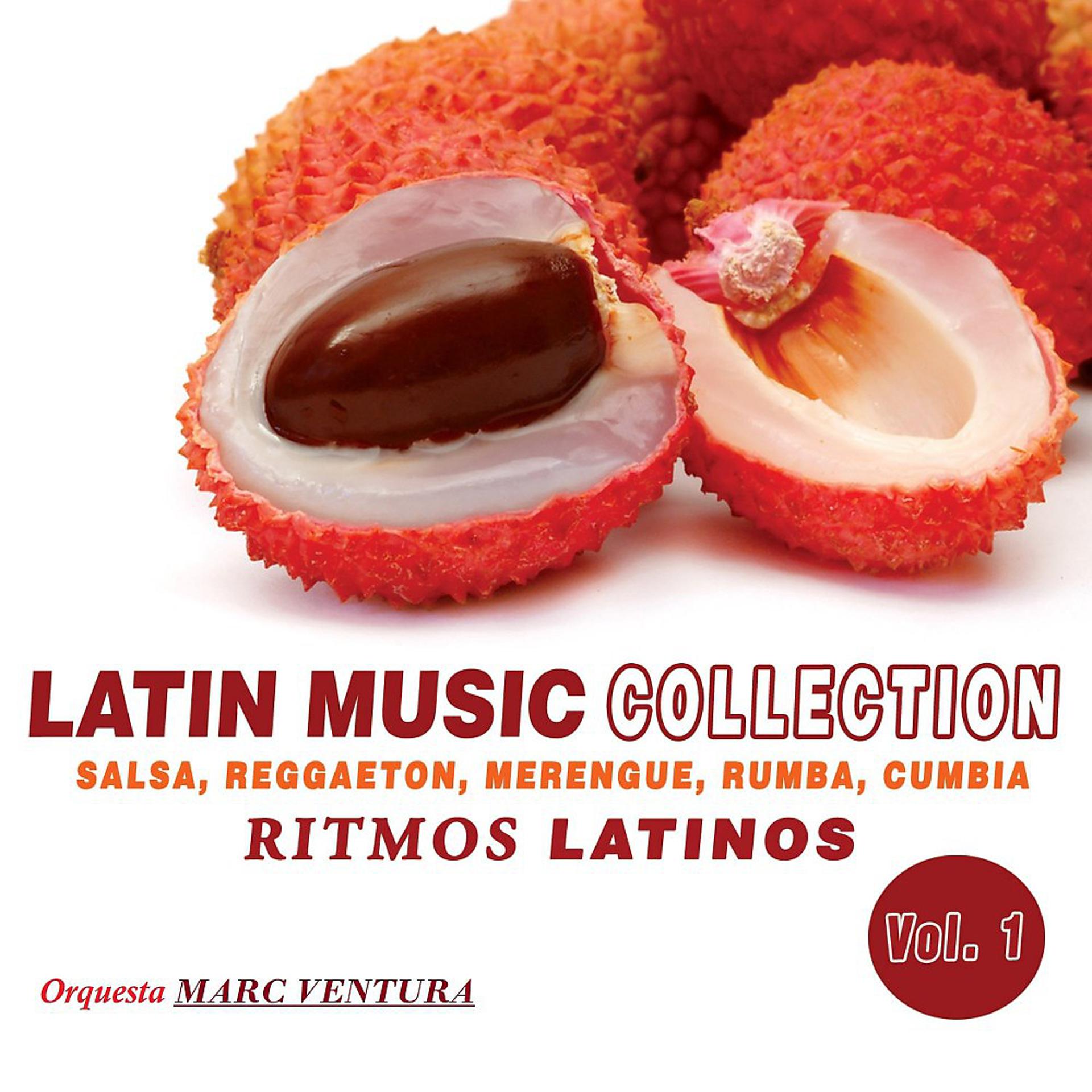 Постер альбома Latin Music Collection - Ritmos Latinos, Vol. 1 (Salsa, Reggaeton, Merengue, Rumba, Cumbia)
