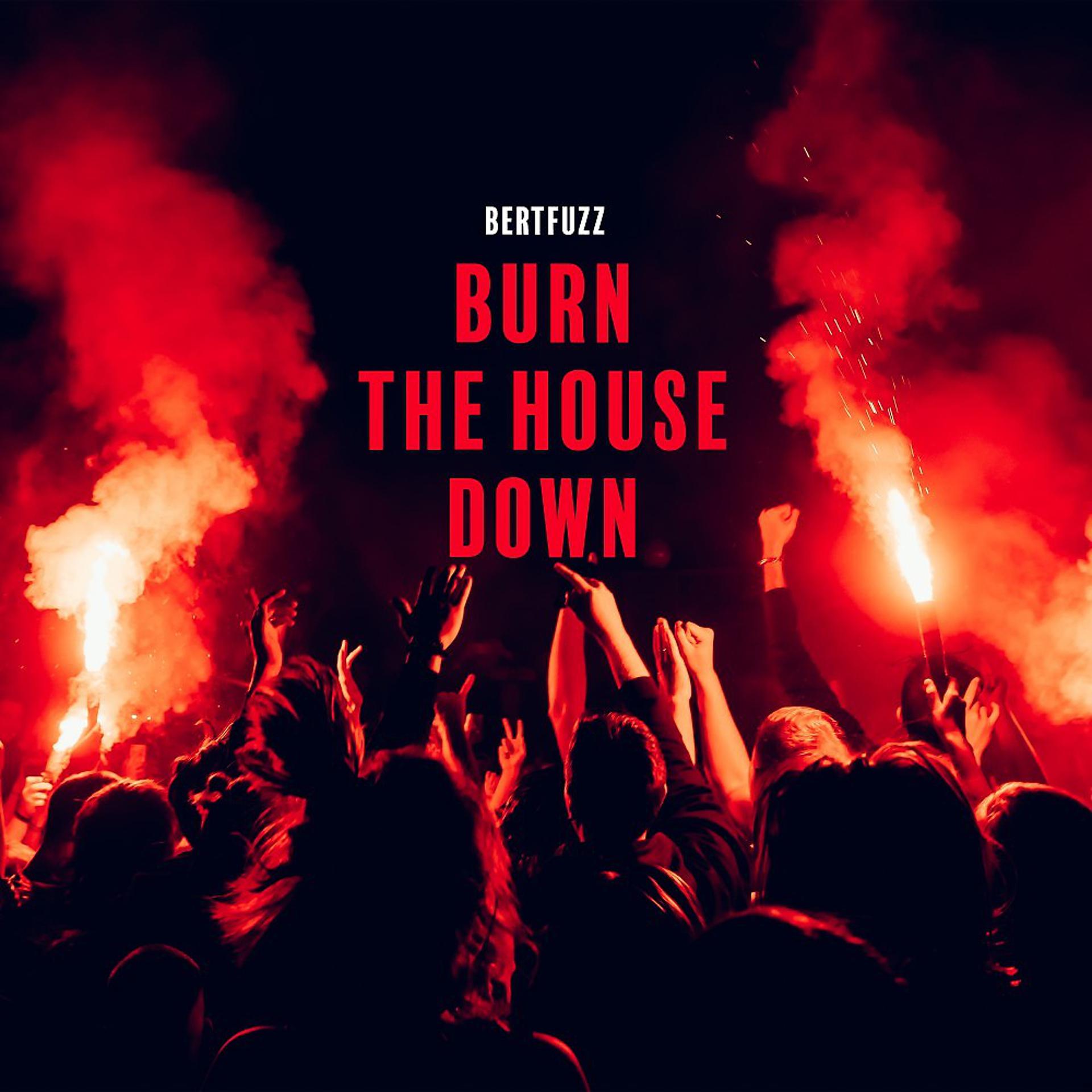 Постер альбома Burn the House Down