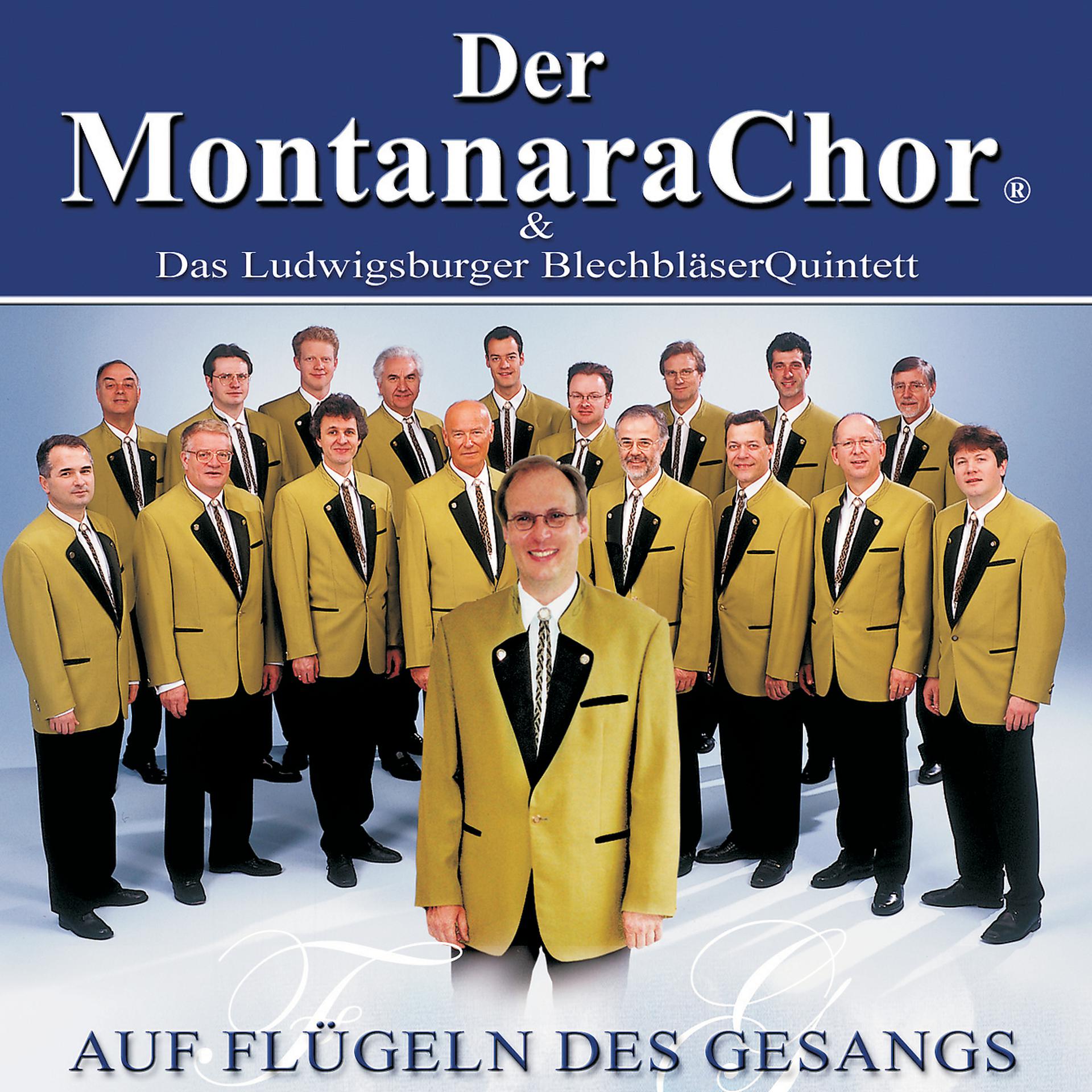 Постер альбома Auf Flügeln Des Gesangs
