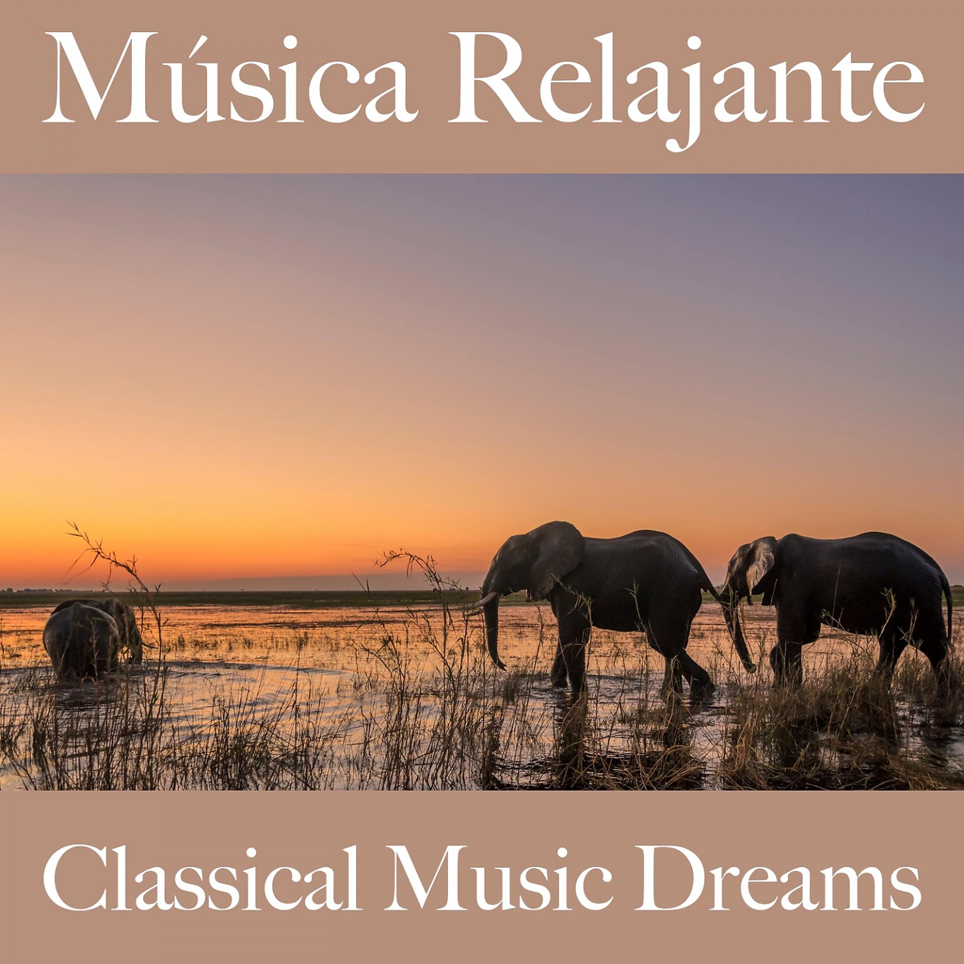 Постер альбома Música Relajante: Classical Music Dreams - La Mejor Música Para Relajarse