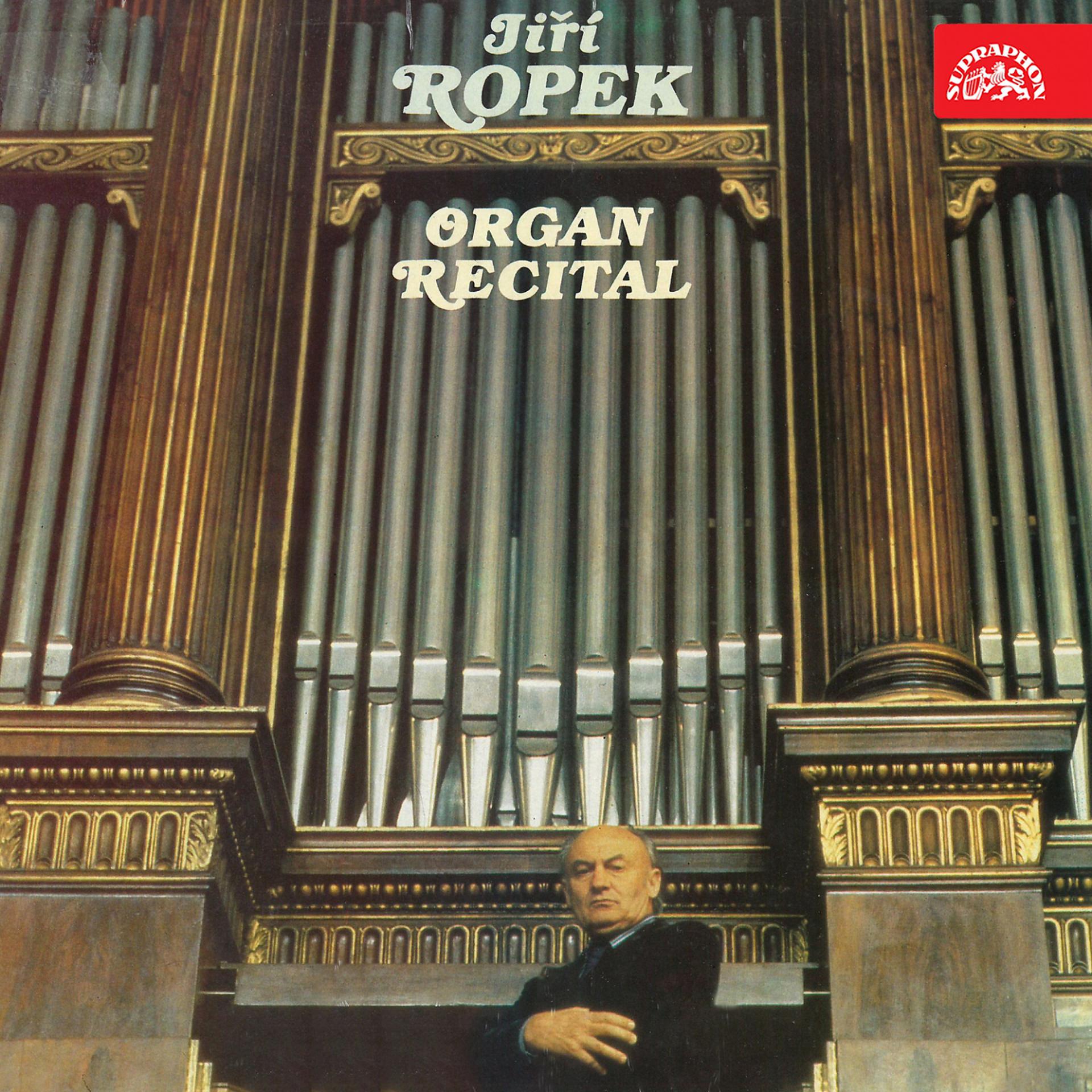 Постер альбома Organ Recital