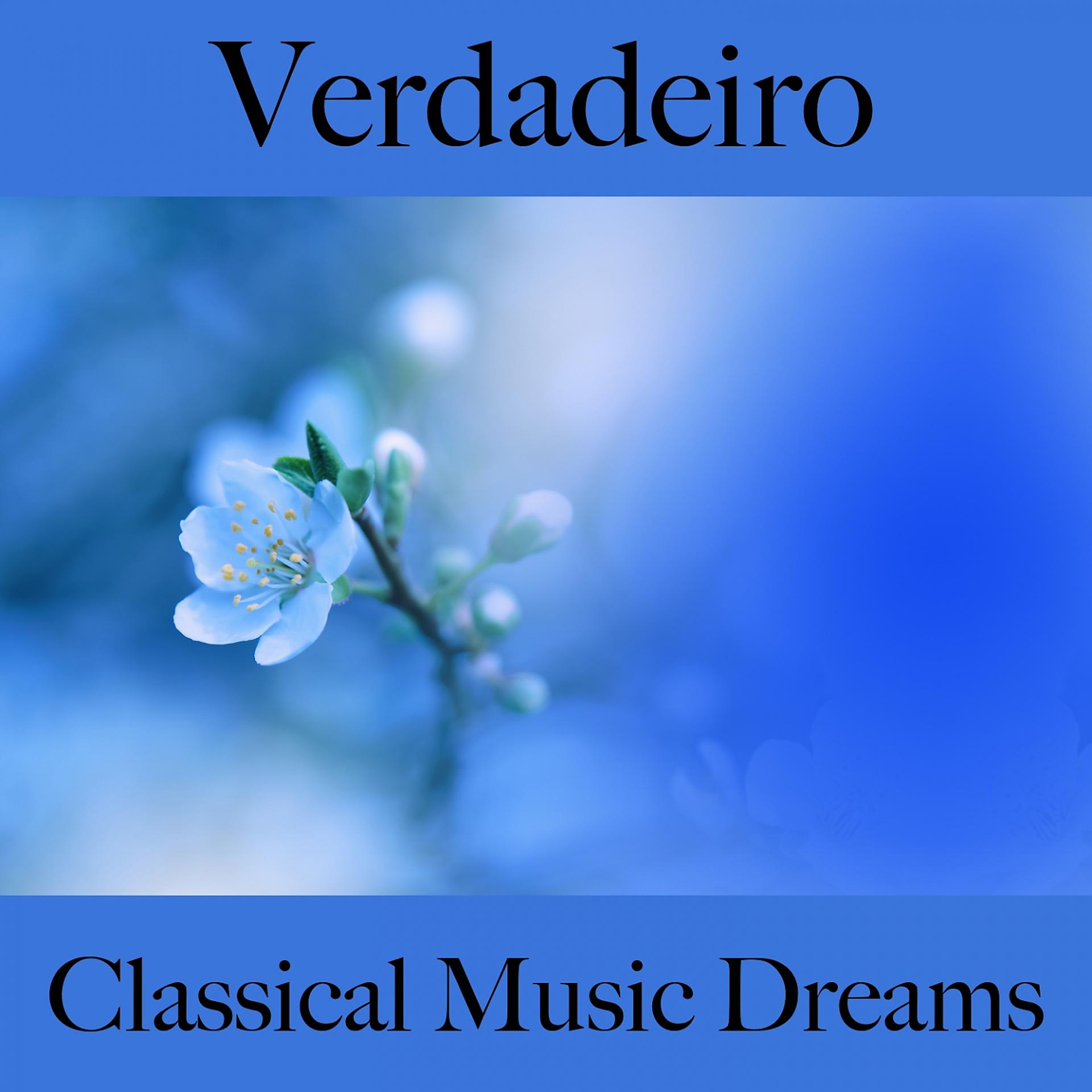 Постер альбома Verdadeiro: Classical Music Dreams - A Melhor Música Para Relaxar