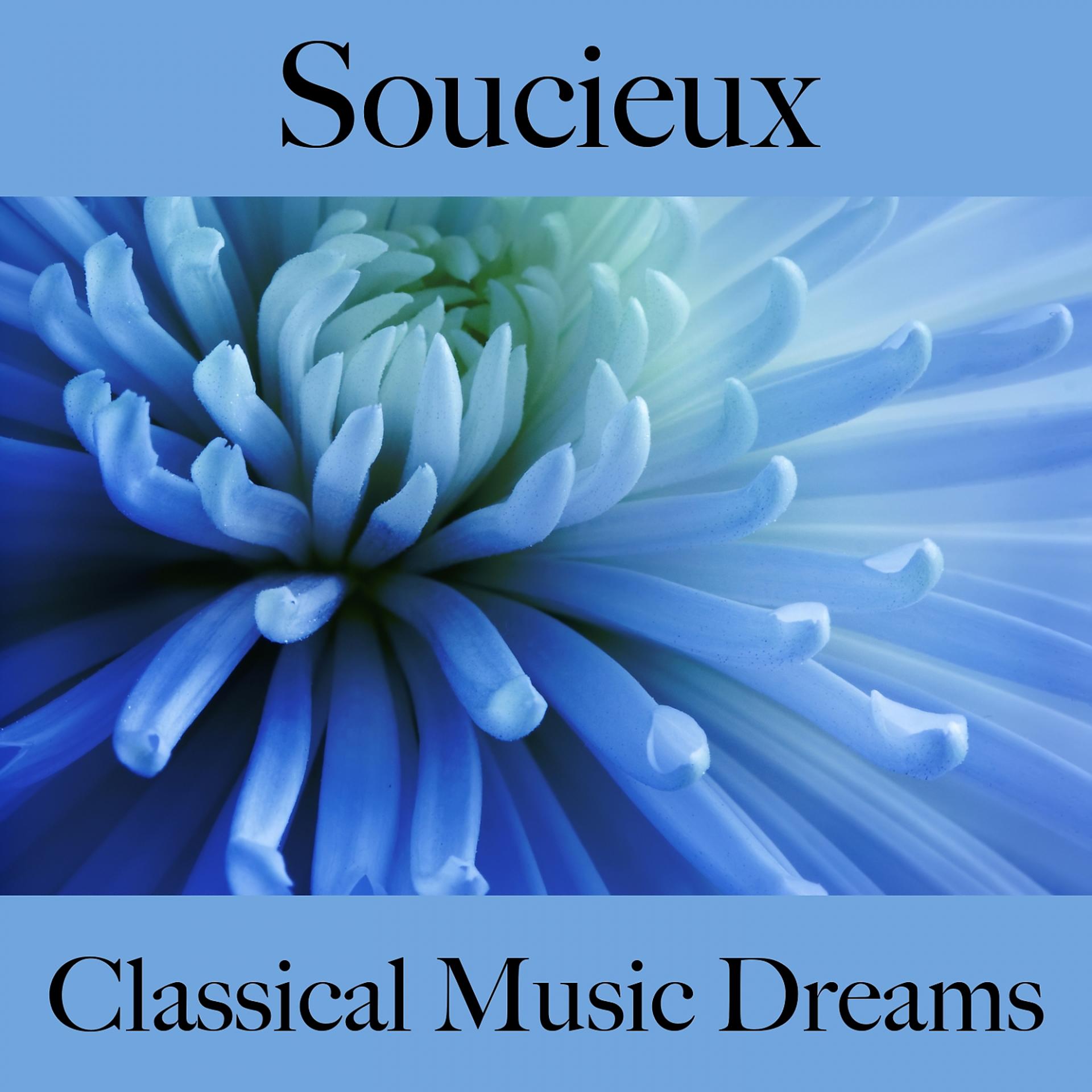 Постер альбома Soucieux: Classical Music Dreams - La Meilleure Musique Pour Se Sentir Mieux