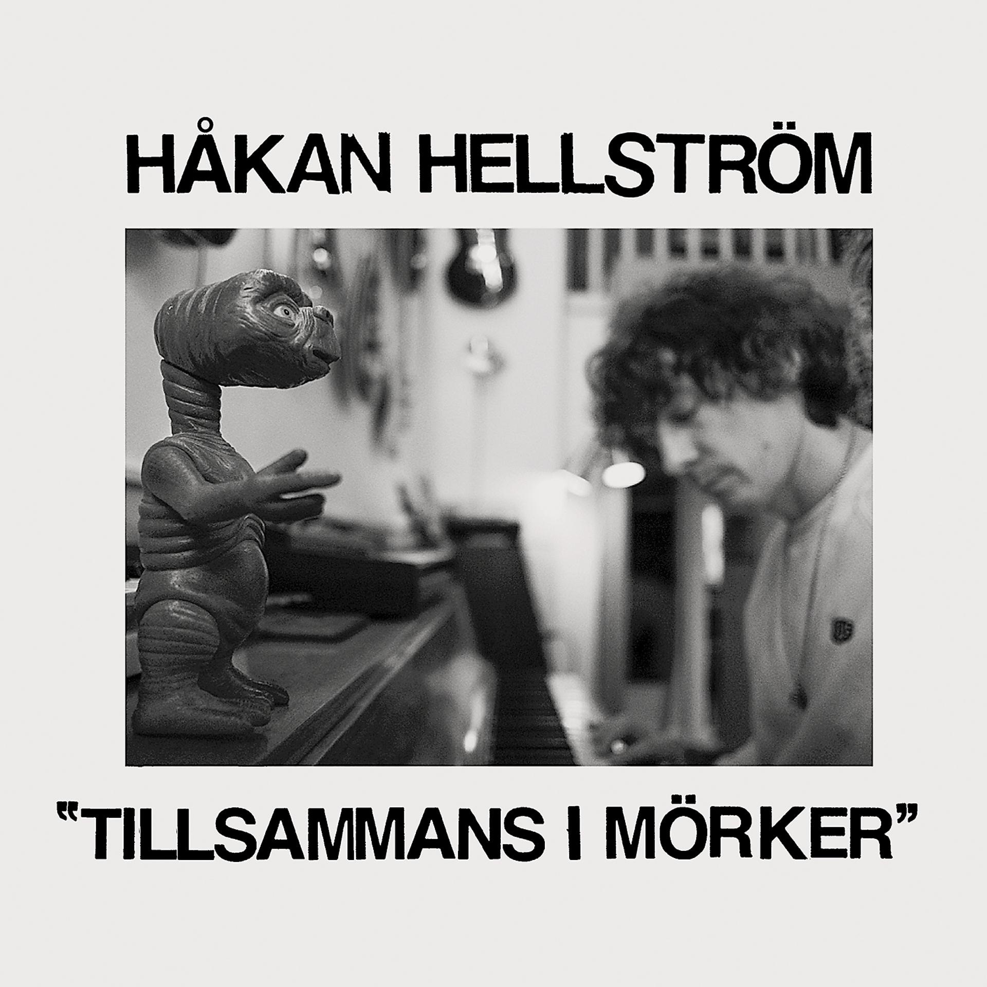 Постер альбома Tillsammans i mörker