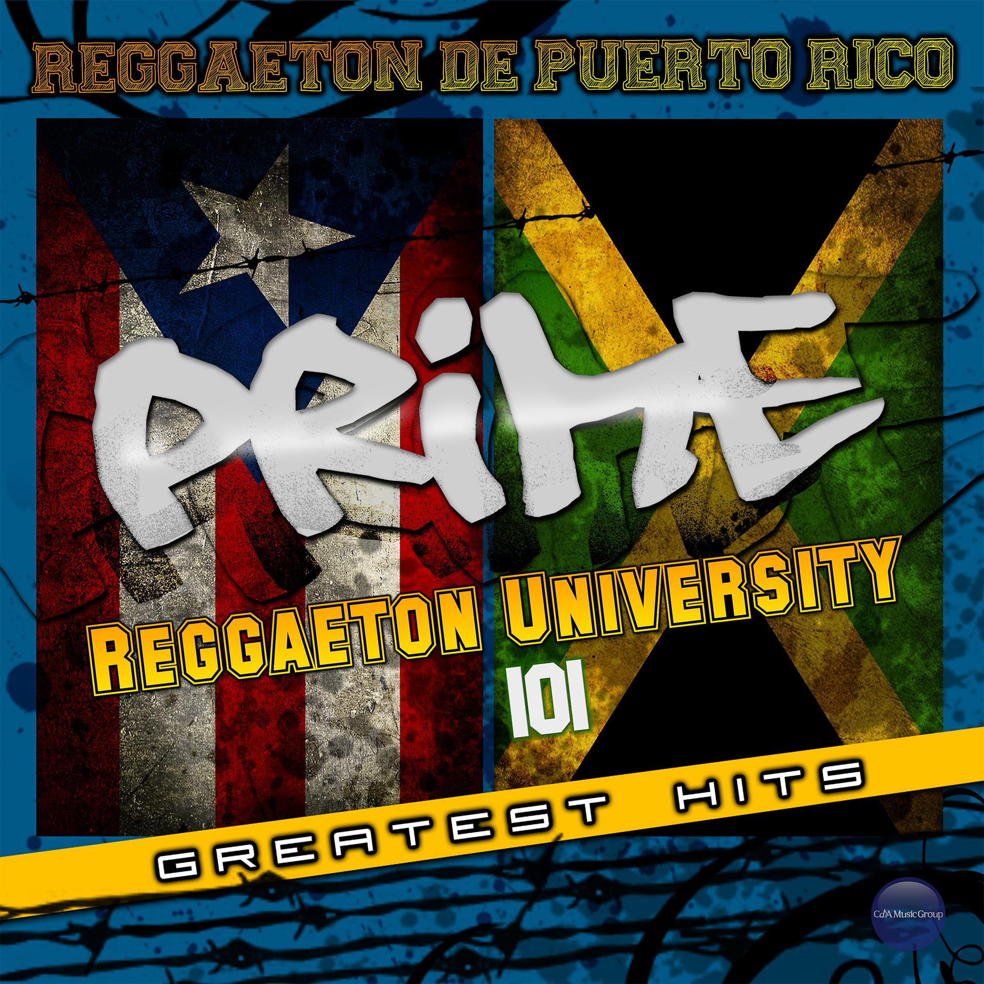 Постер альбома Reggaeton University 101