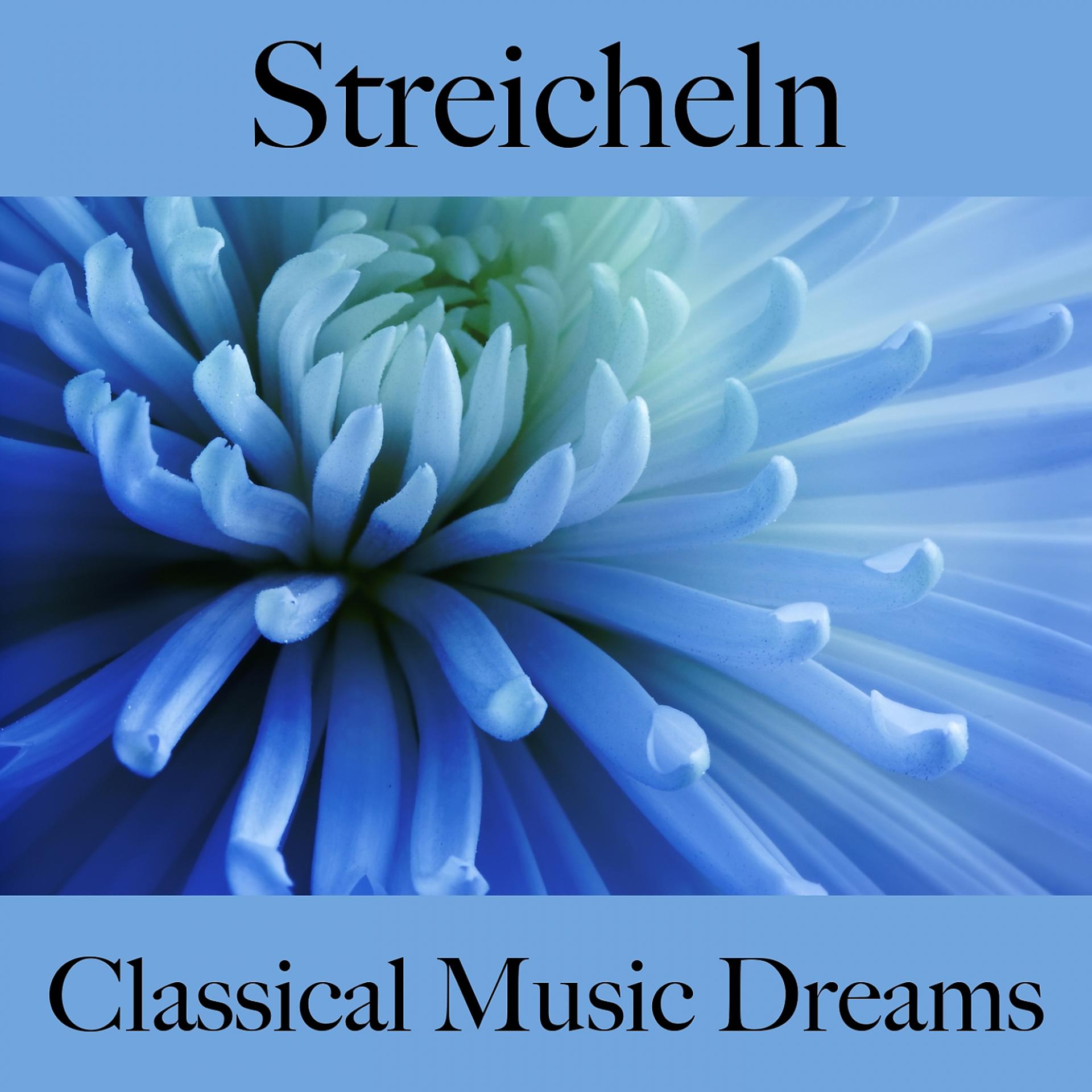 Постер альбома Streicheln: Classical Music Dreams - Die Beste Musik Für Die Sinnliche Zeit Zu Zweit