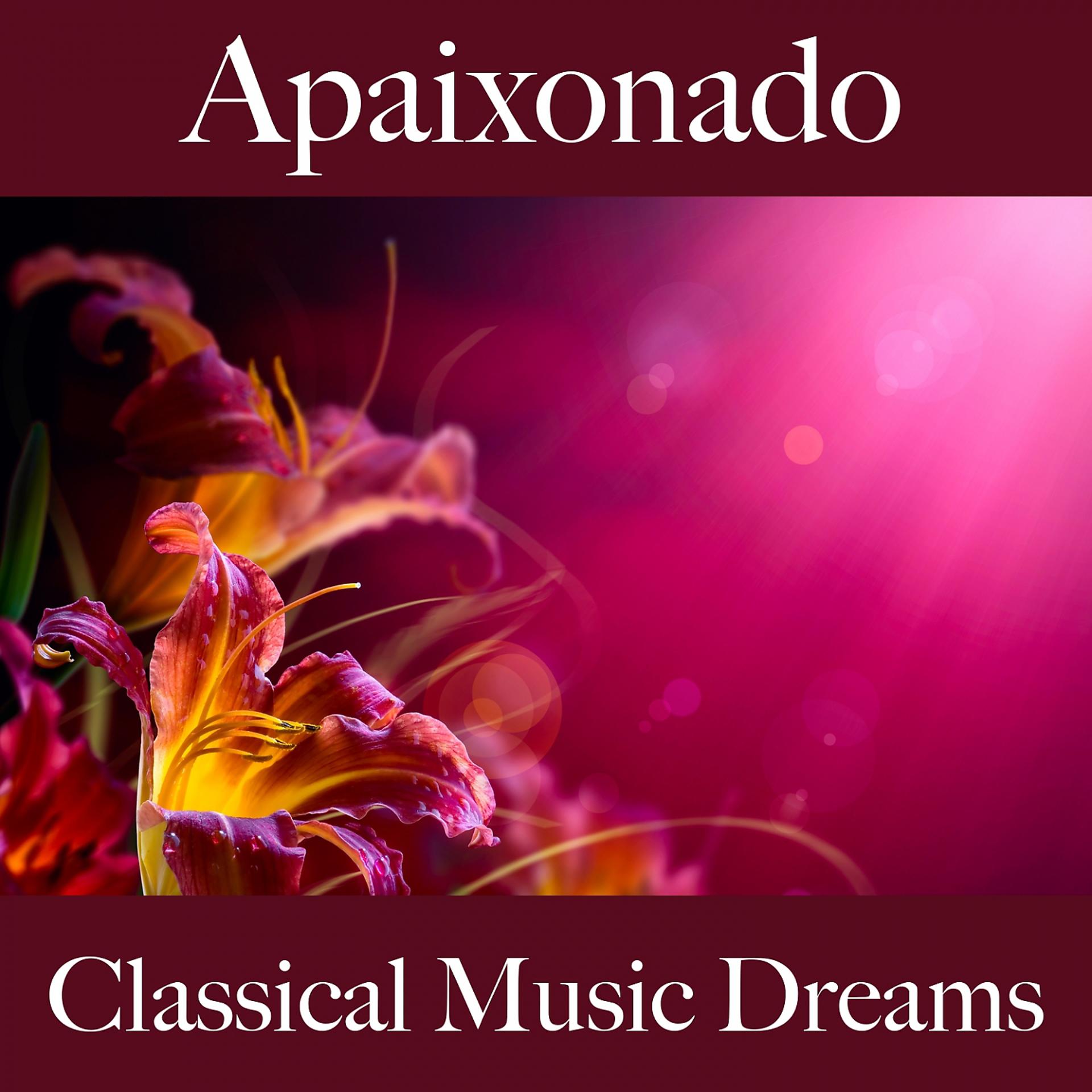 Постер альбома Apaixonado: Classical Music Dreams - A Melhor Música Para Momentos Sensuais A Dois
