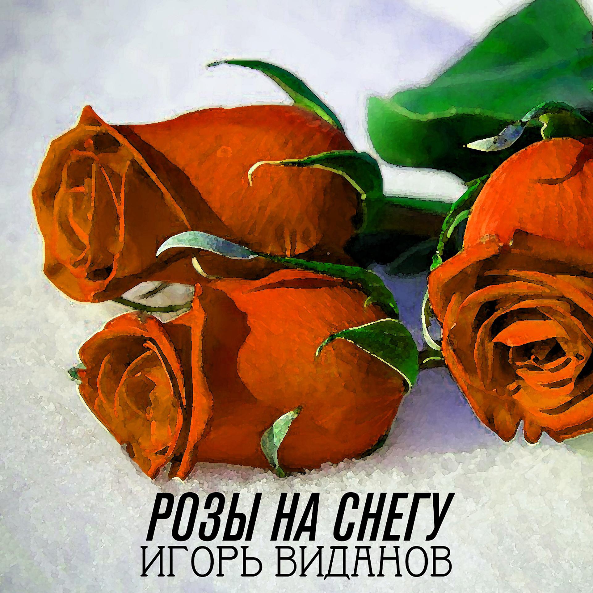 Постер альбома Розы на снегу