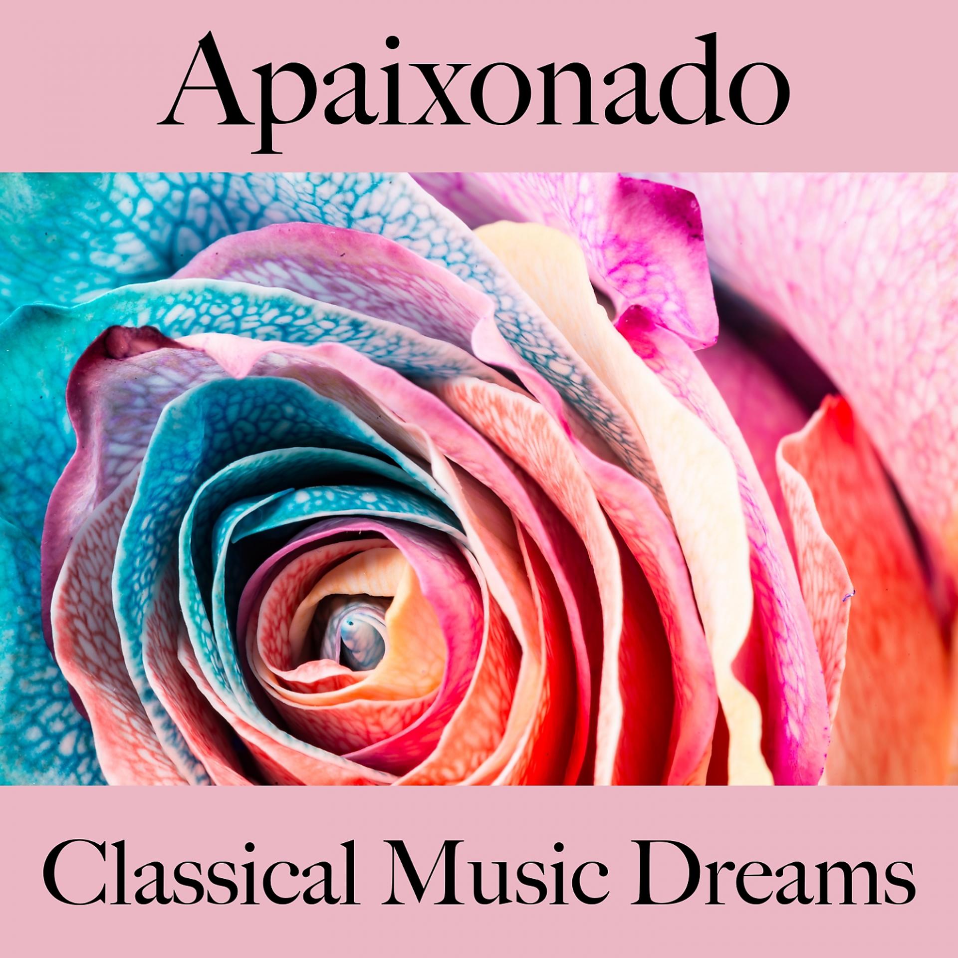 Постер альбома Apaixonado: Classical Music Dreams - A Melhor Música Para Momentos A Dois