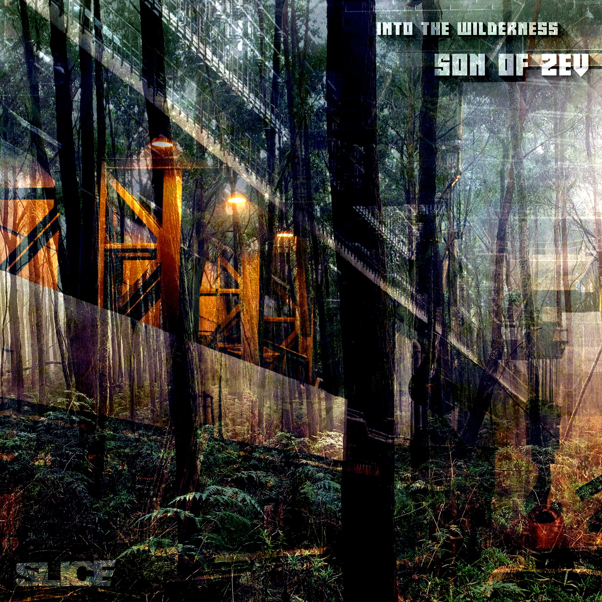 Постер альбома Into the Wilderness