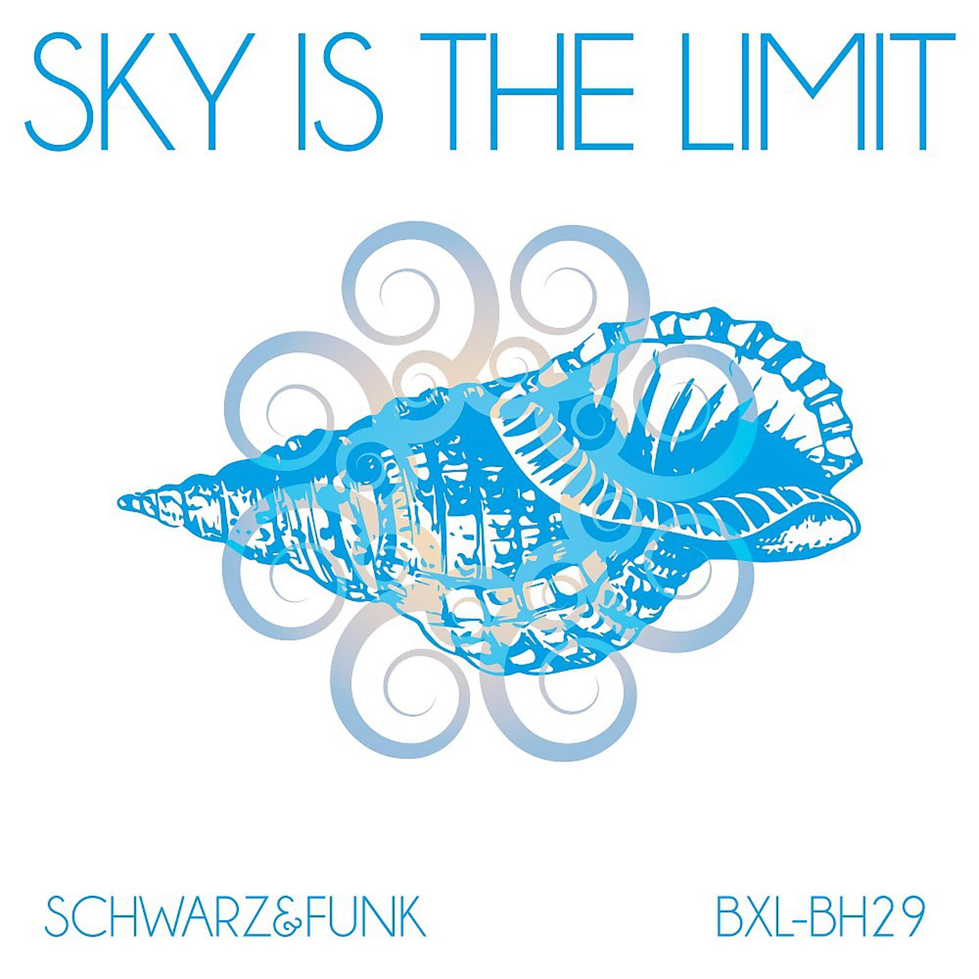 Постер альбома Sky Is the Limit (Beach House Mix)