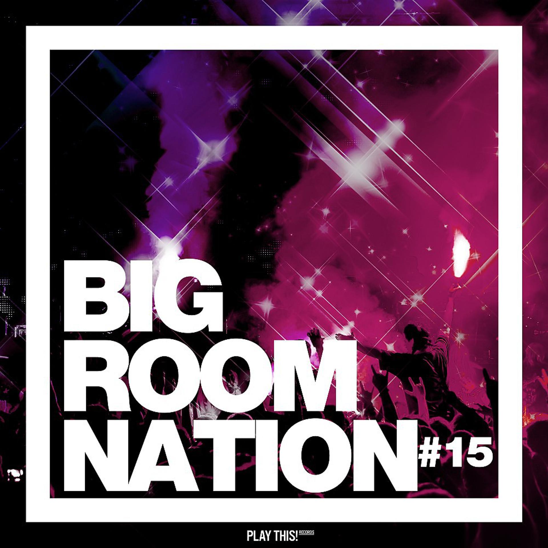 Постер альбома Big Room Nation, Vol. 15