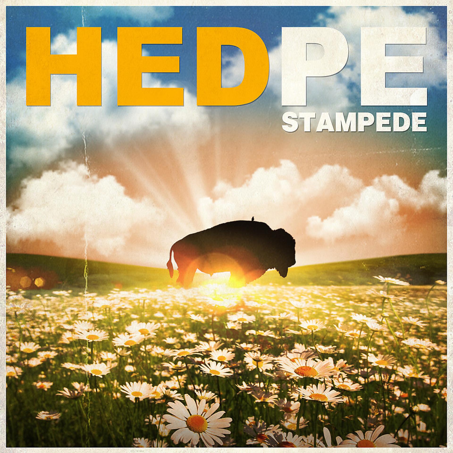 Постер альбома Stampede