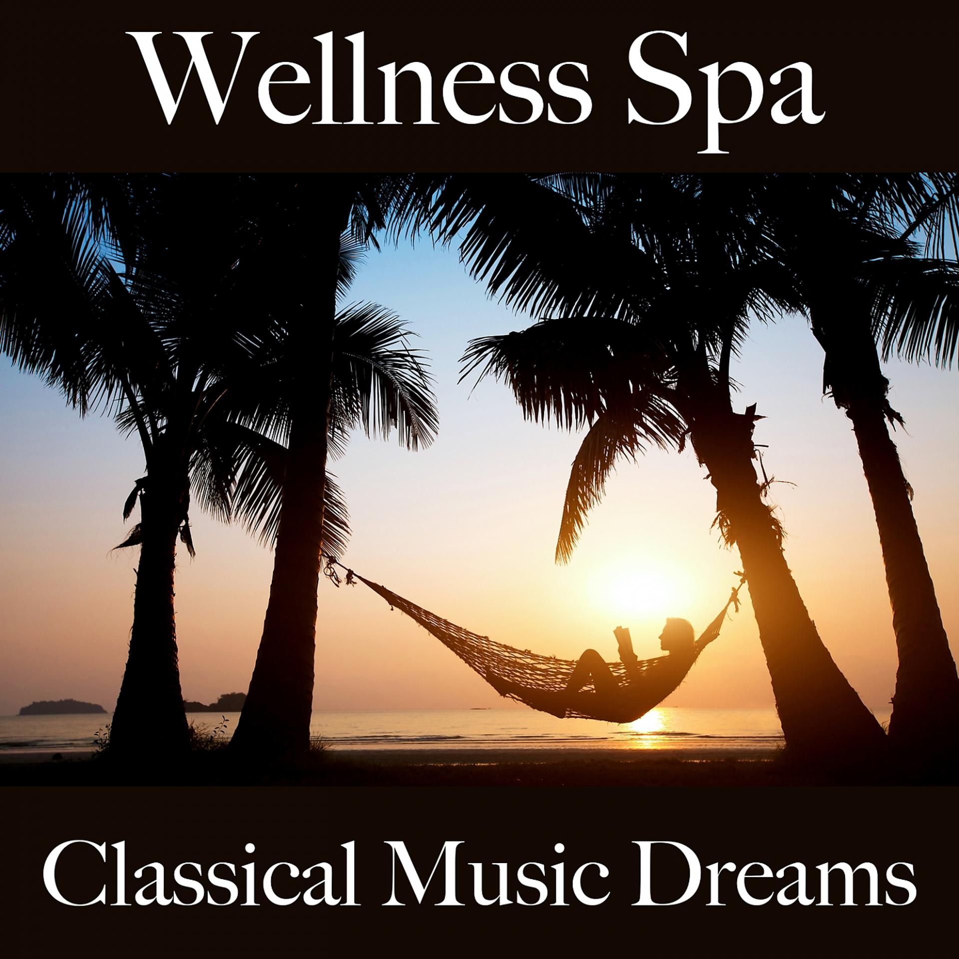 Постер альбома Wellness Spa: Classical Music Dreams - Os Melhores Sons Para Relaxar
