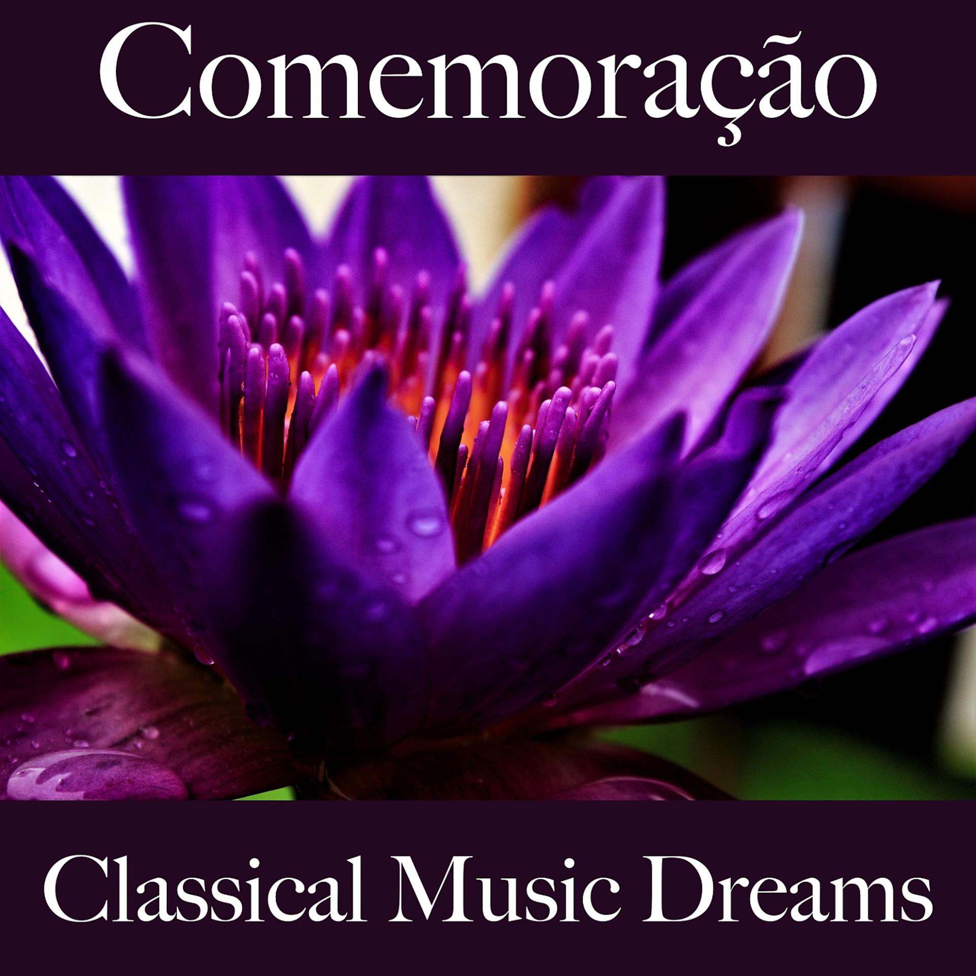 Постер альбома Comemoração: Classical Music Dreams - Os Melhores Sons Para Festejar