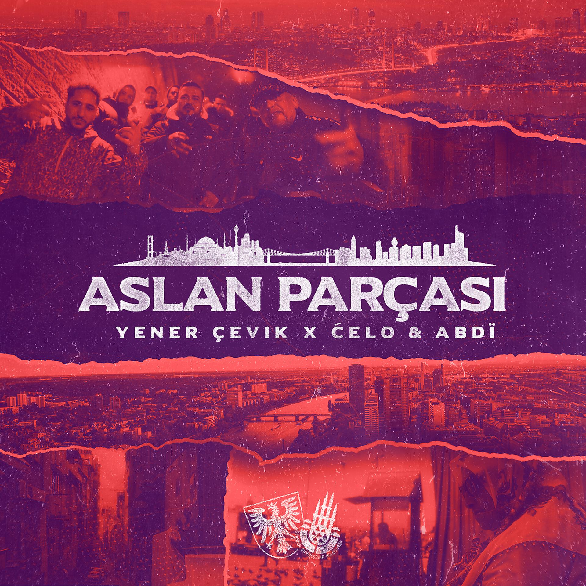 Постер альбома Aslan Parçasi