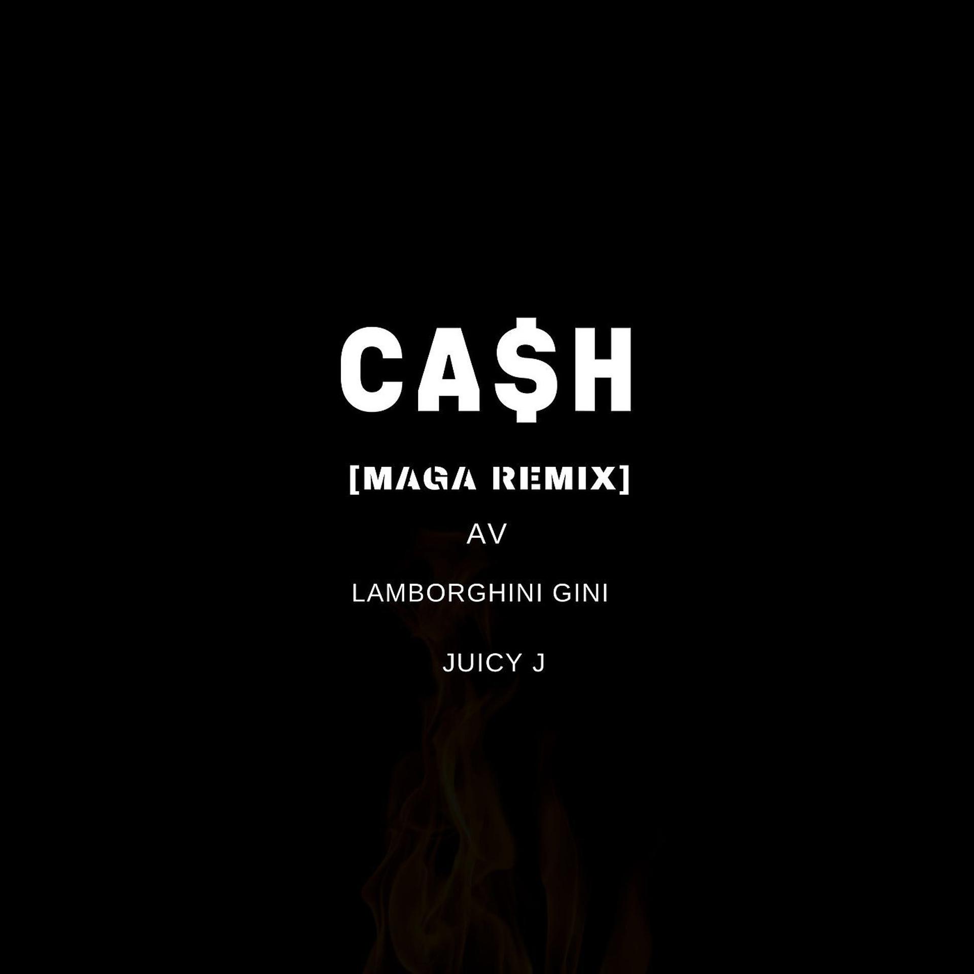 Постер альбома Cash (Maga Remix)