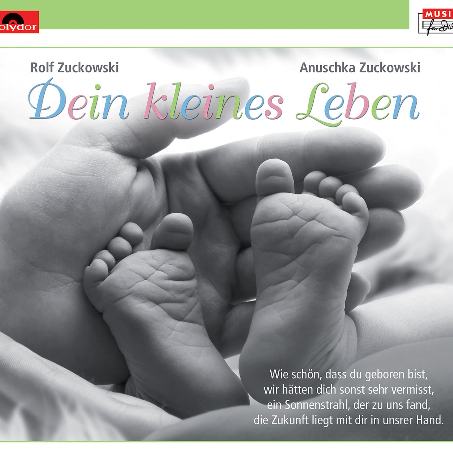 Постер альбома Dein kleines Leben