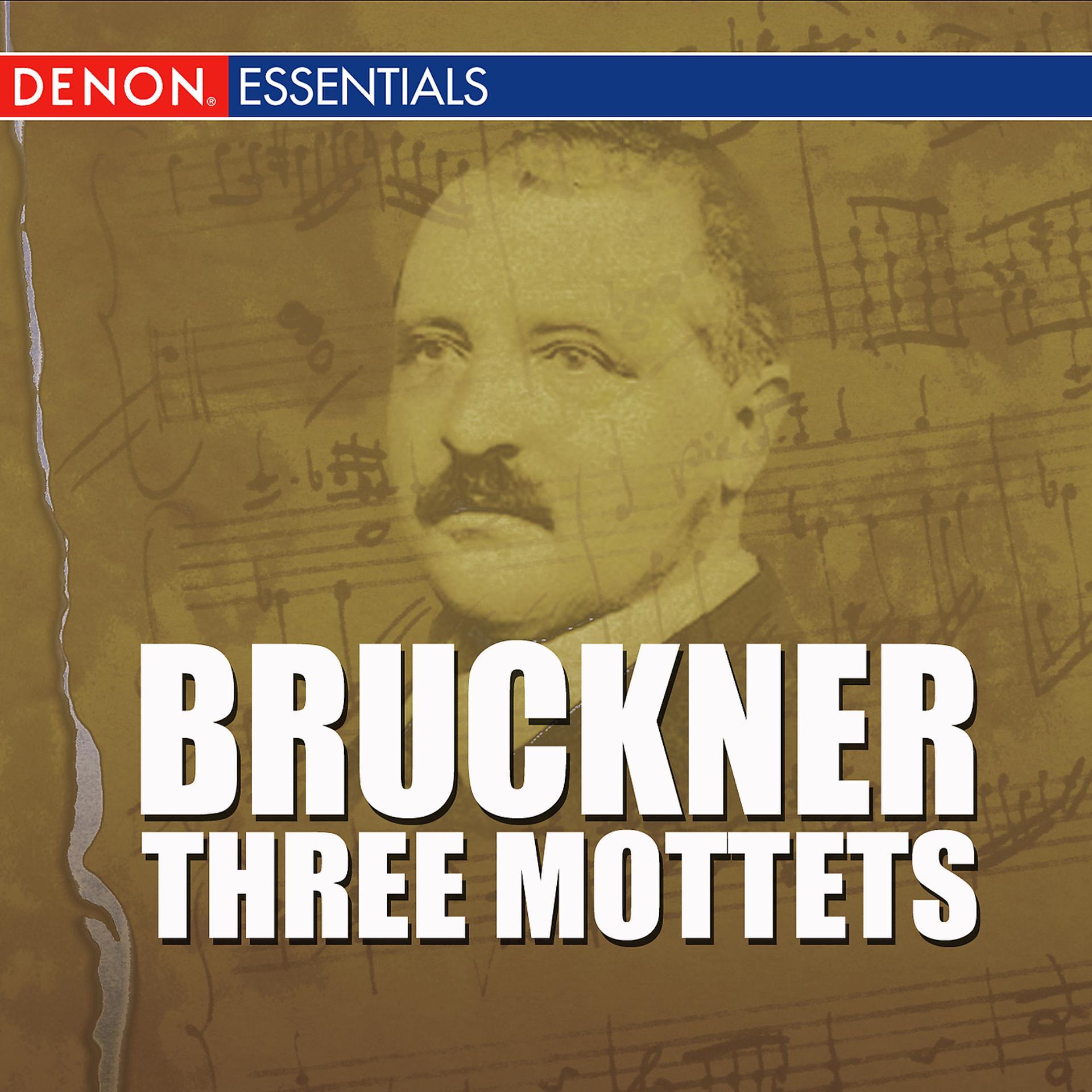 Постер альбома Bruckner - Three Mottets