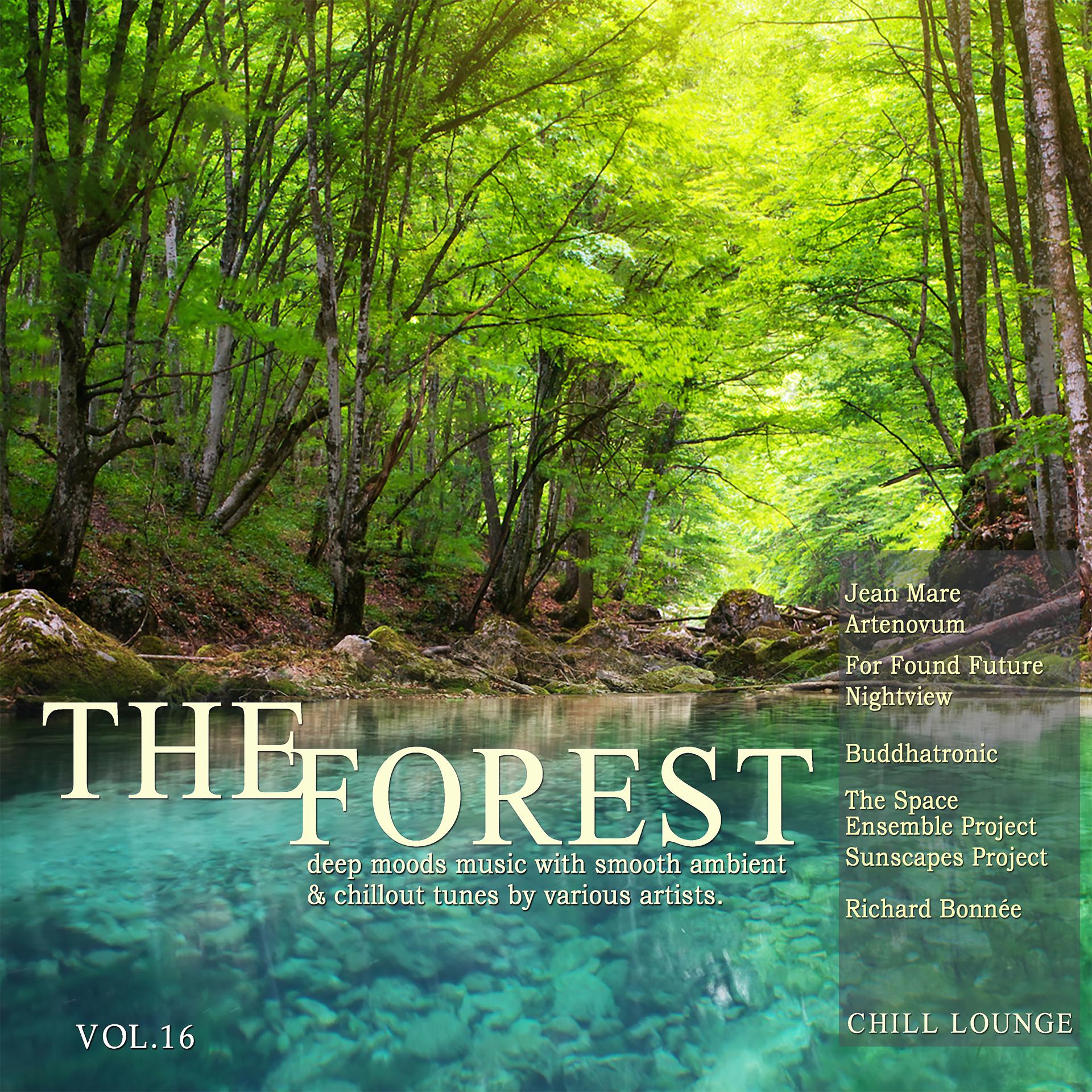 Постер альбома The Forest Chill Lounge, Vol. 16 (Deep Moods Music with Smooth Ambient & Chillout Tunes)