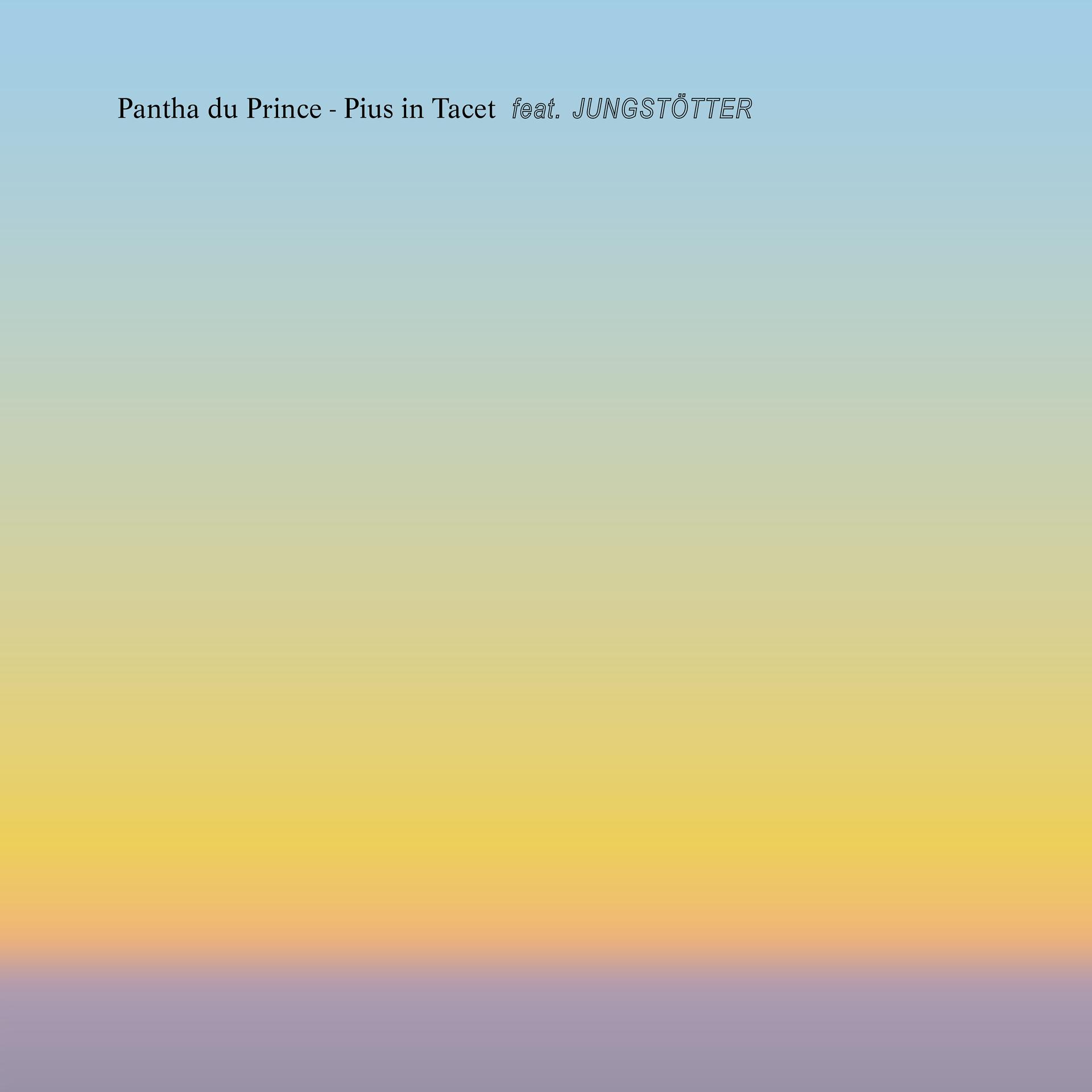 Постер альбома Pius in Tacet (feat. Jungstötter) [Vocal Single Version]