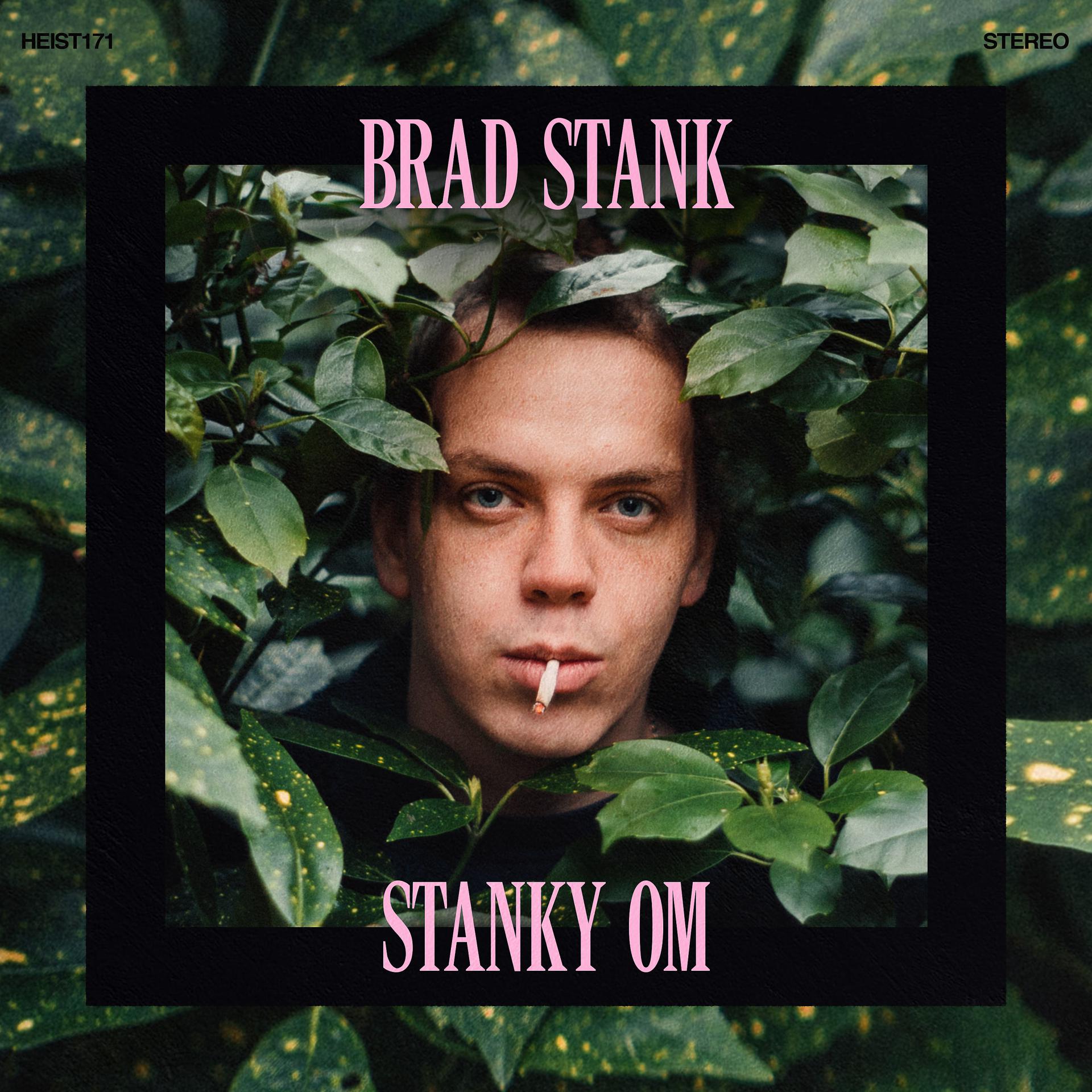 Постер альбома Stanky Om