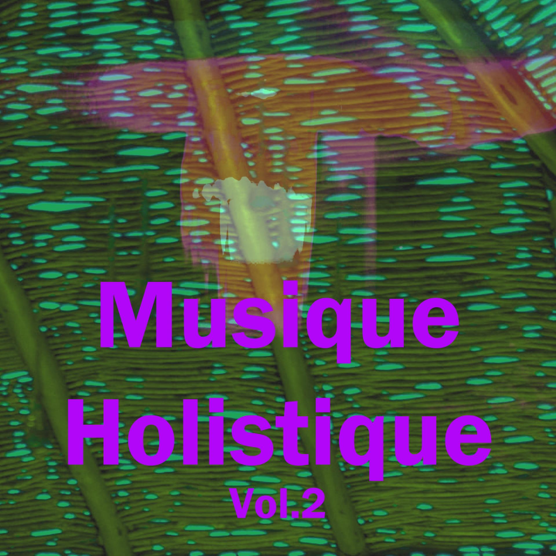 Постер альбома Musique holistique, vol. 2