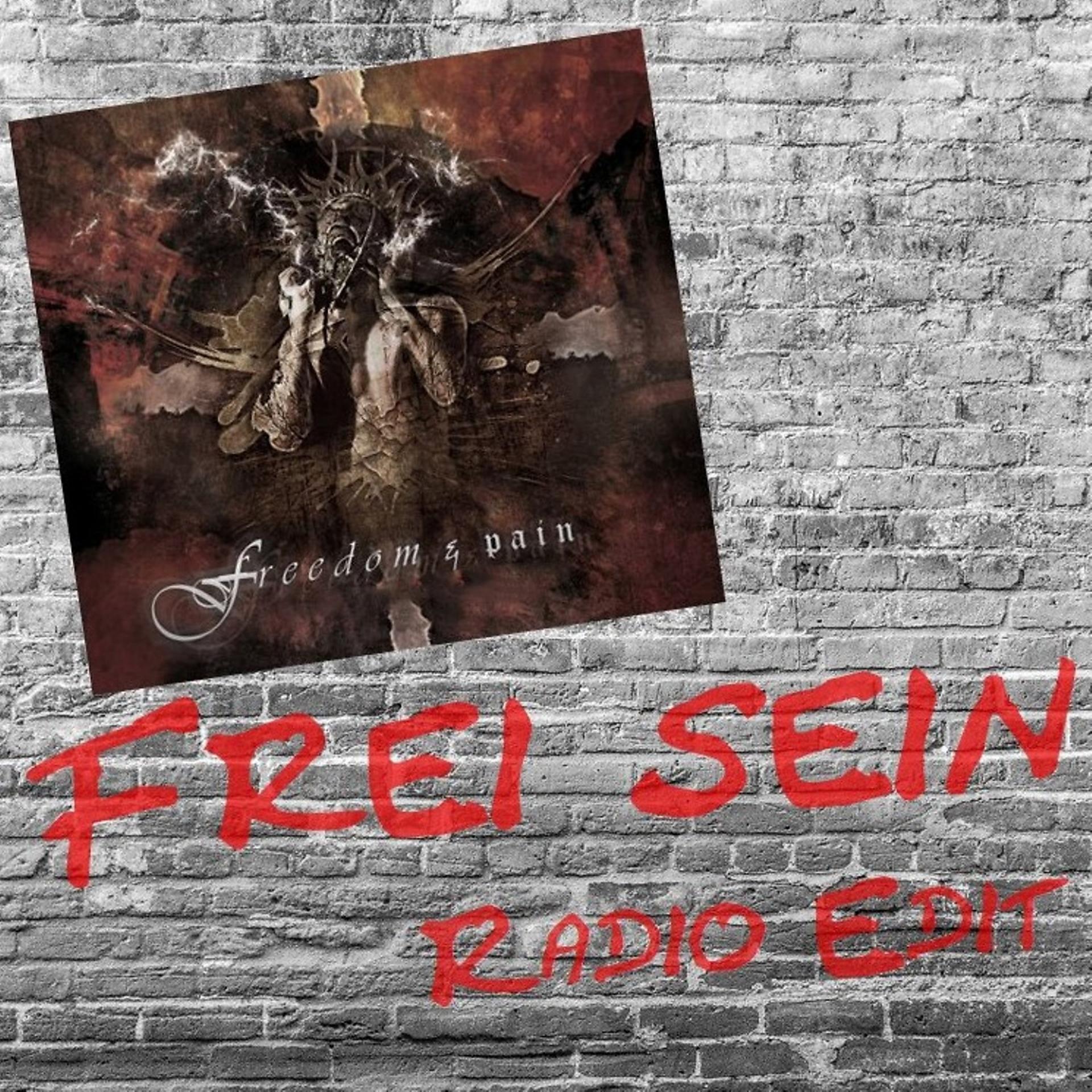 Постер альбома Frei sein