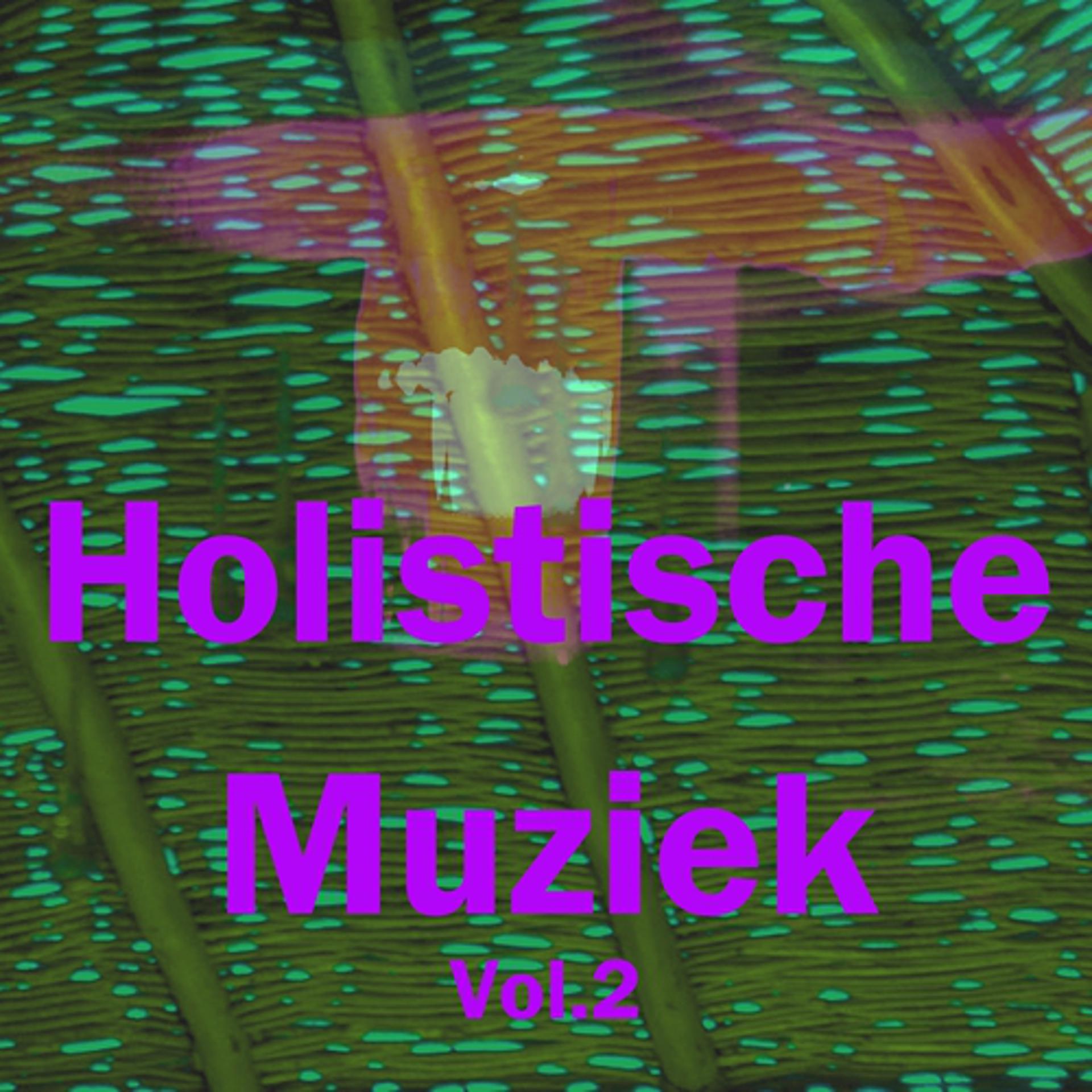 Постер альбома Holistische Muziek, Vol. 2