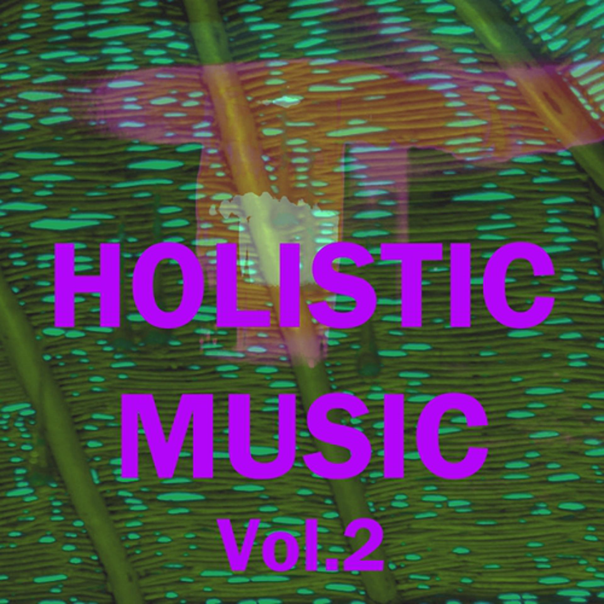 Постер альбома Holistic Music, Vol. 2