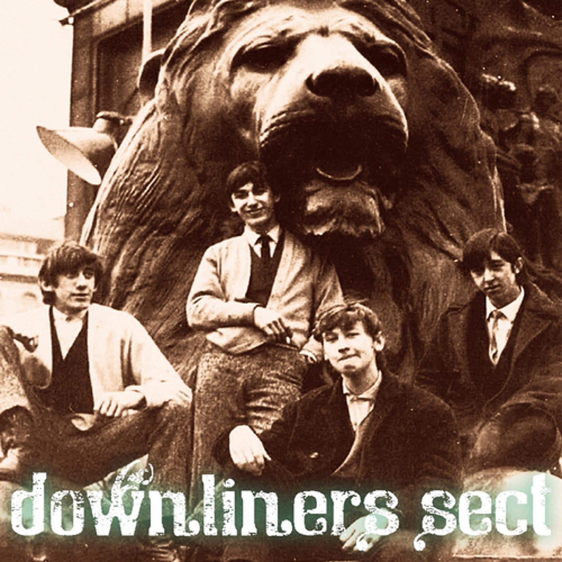 Постер альбома Downliners Sect (1963-1964)