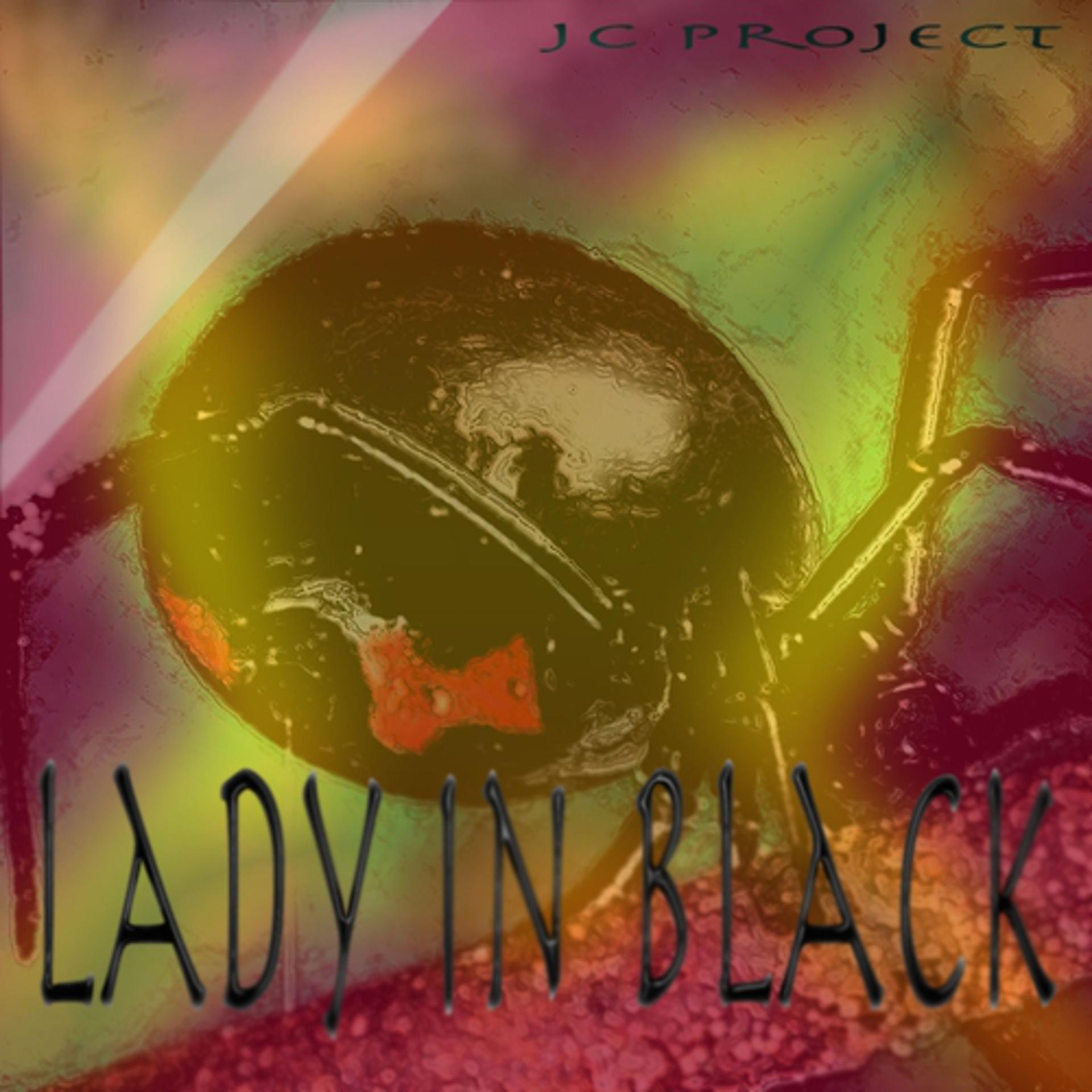 Постер альбома Lady In Black