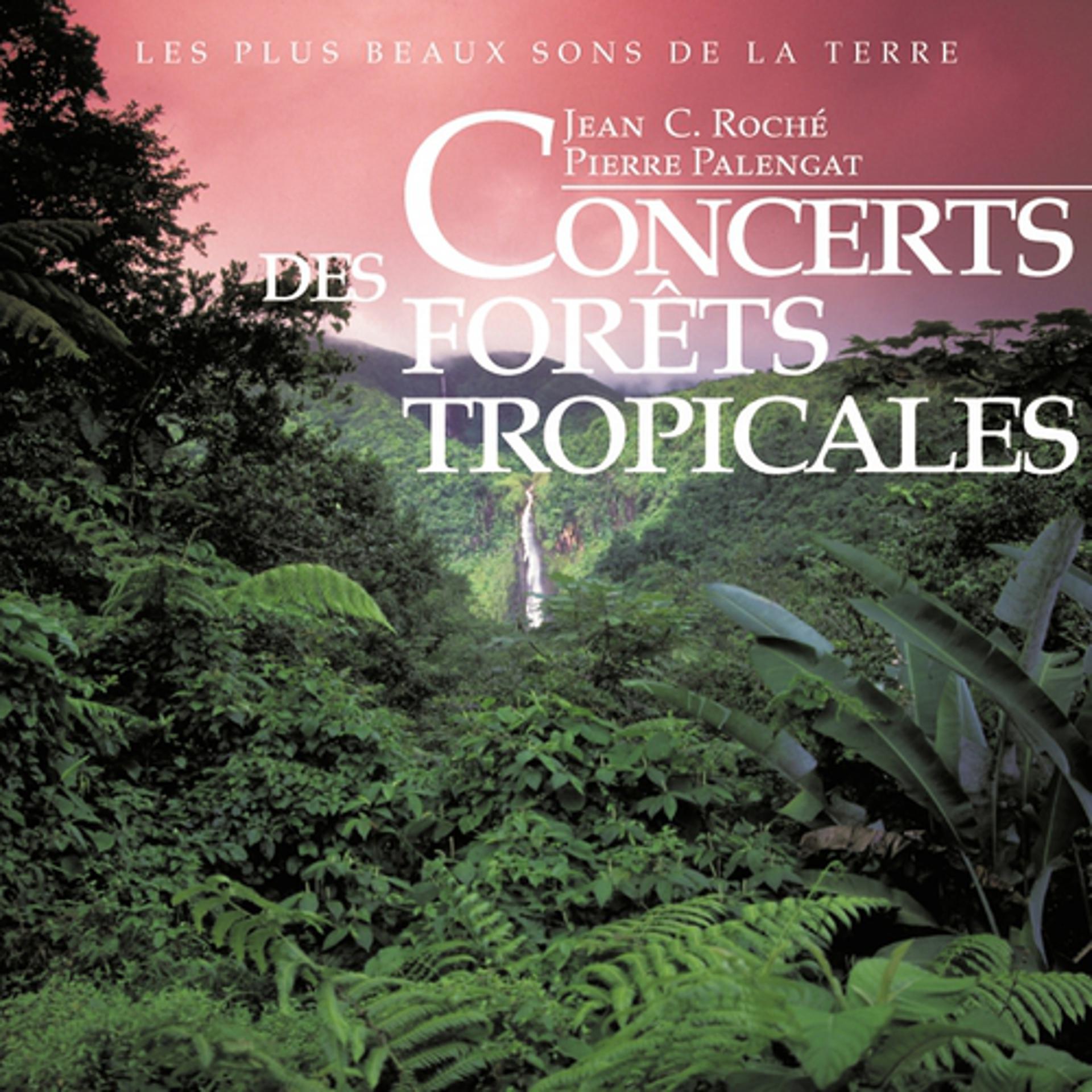 Постер альбома Concerts des forêts tropicales
