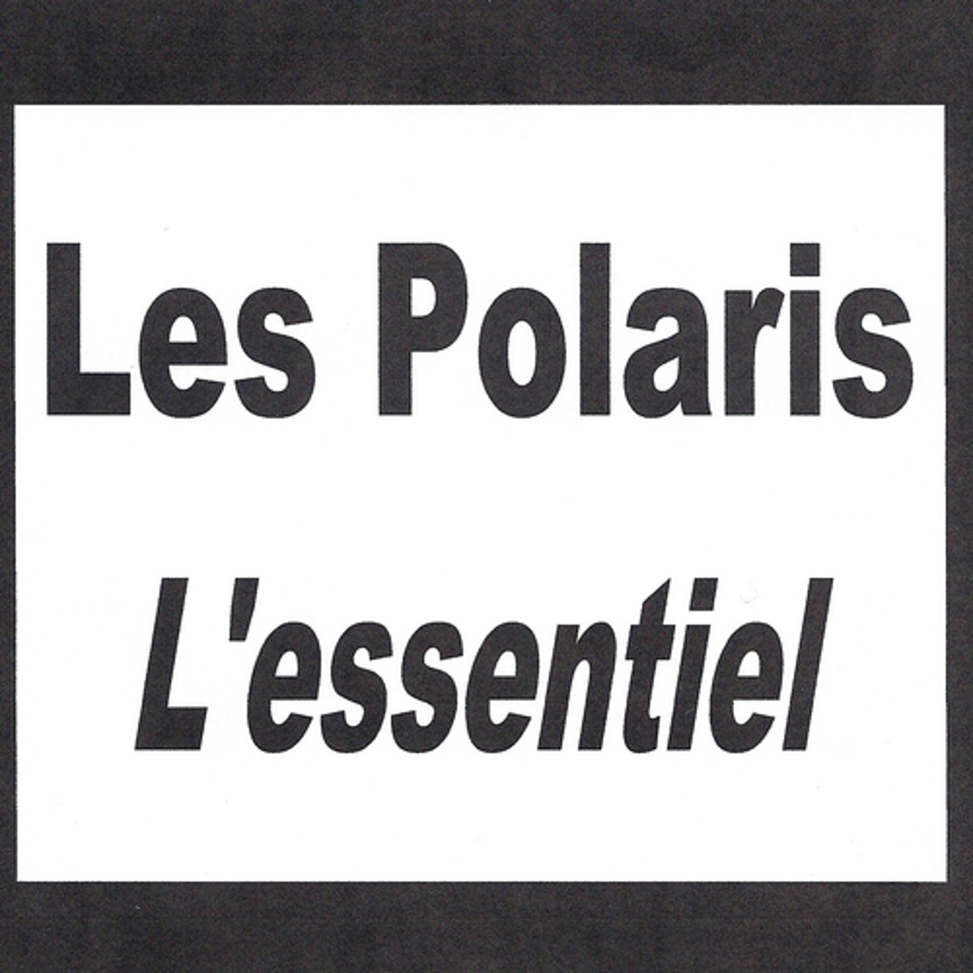 Постер альбома Les Polaris - L'essentiel