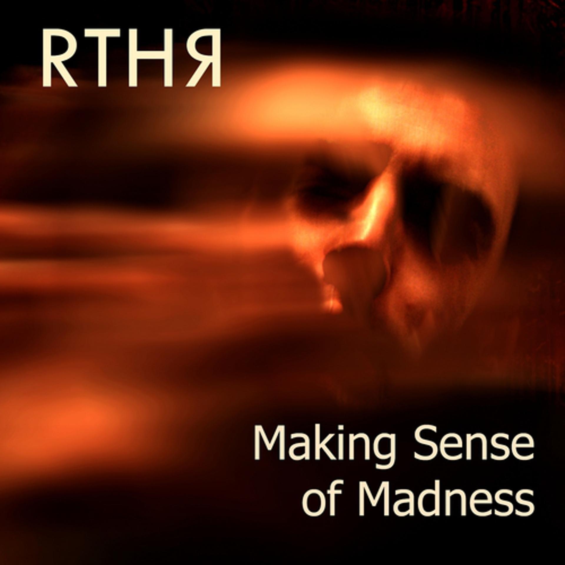 Постер альбома Making Sense of Madness